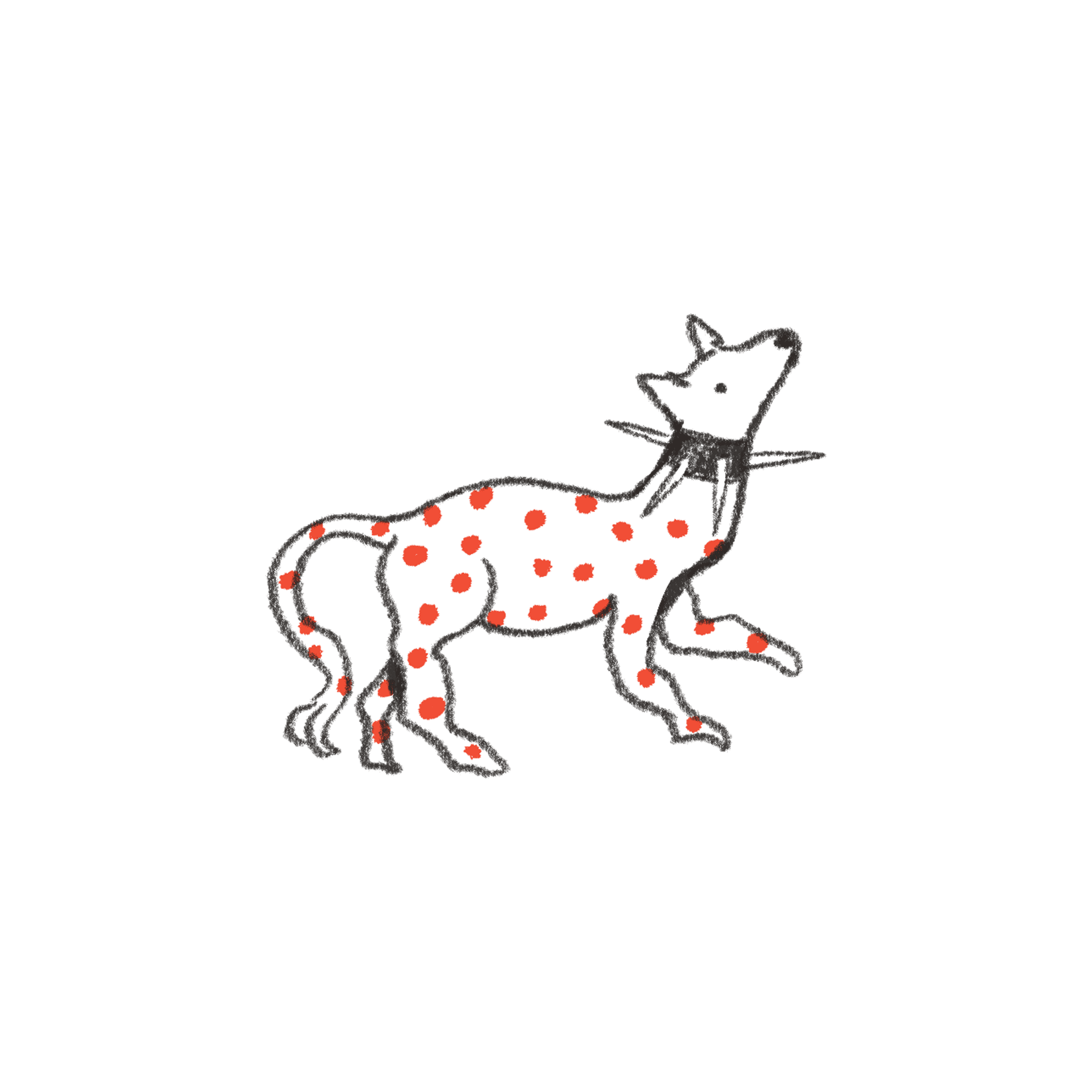 spotted dog