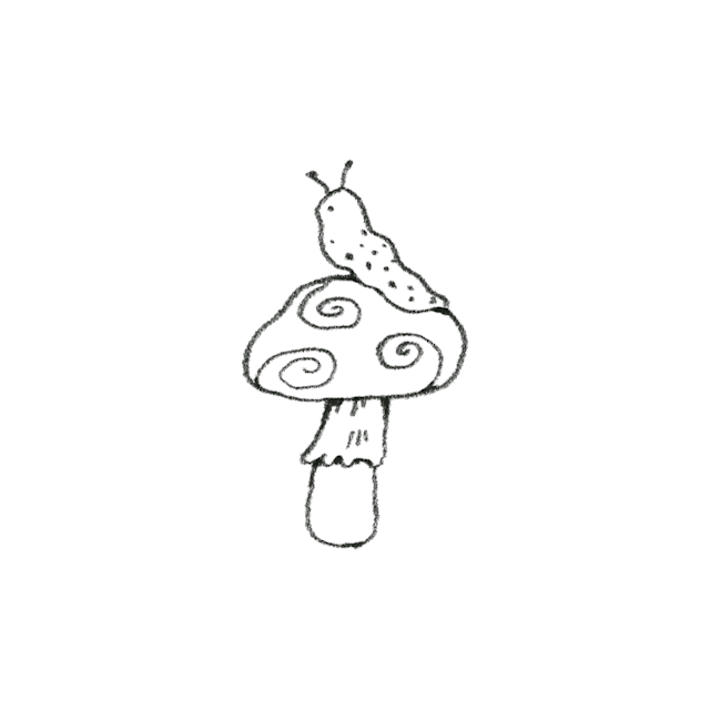 mushroom with snail