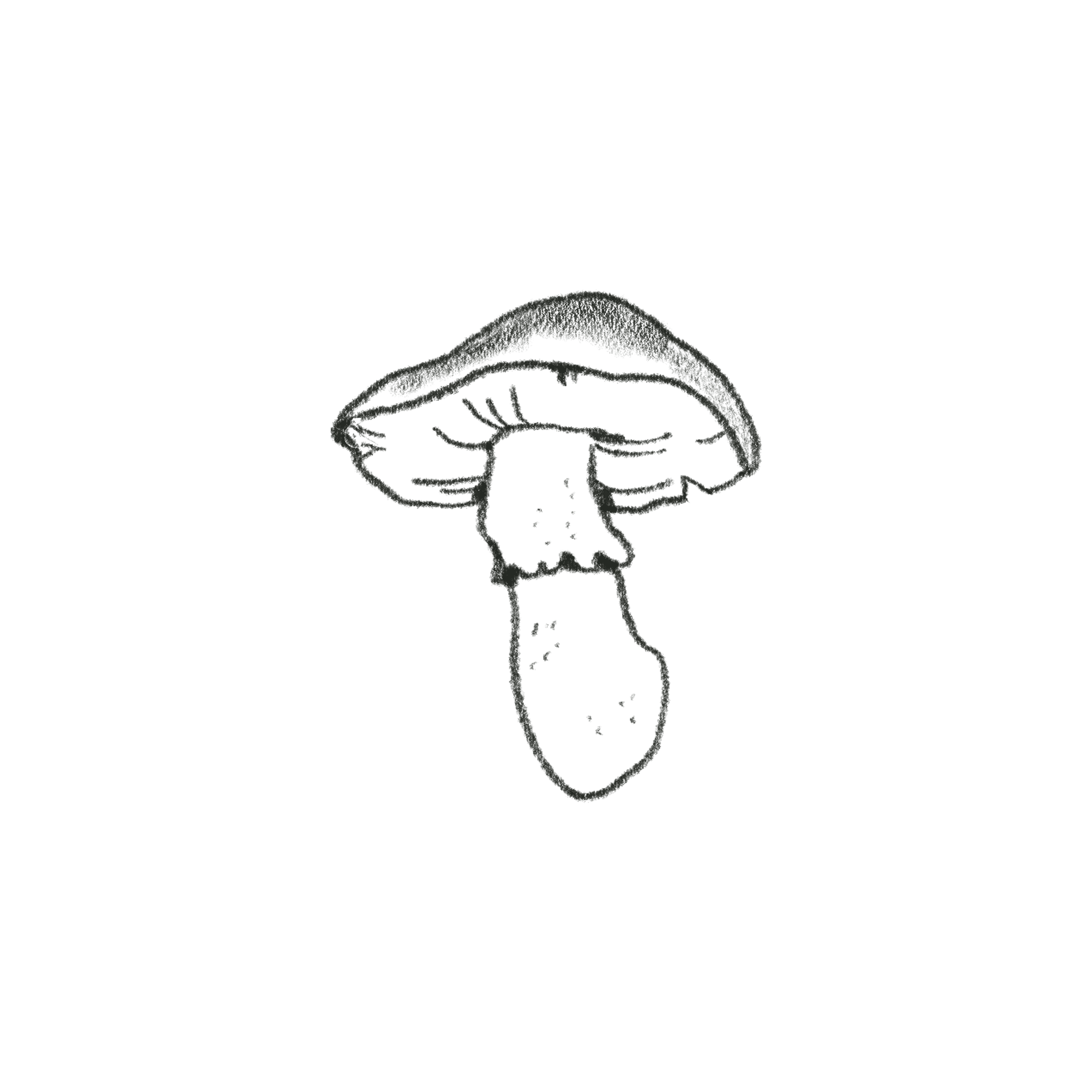 mushroom