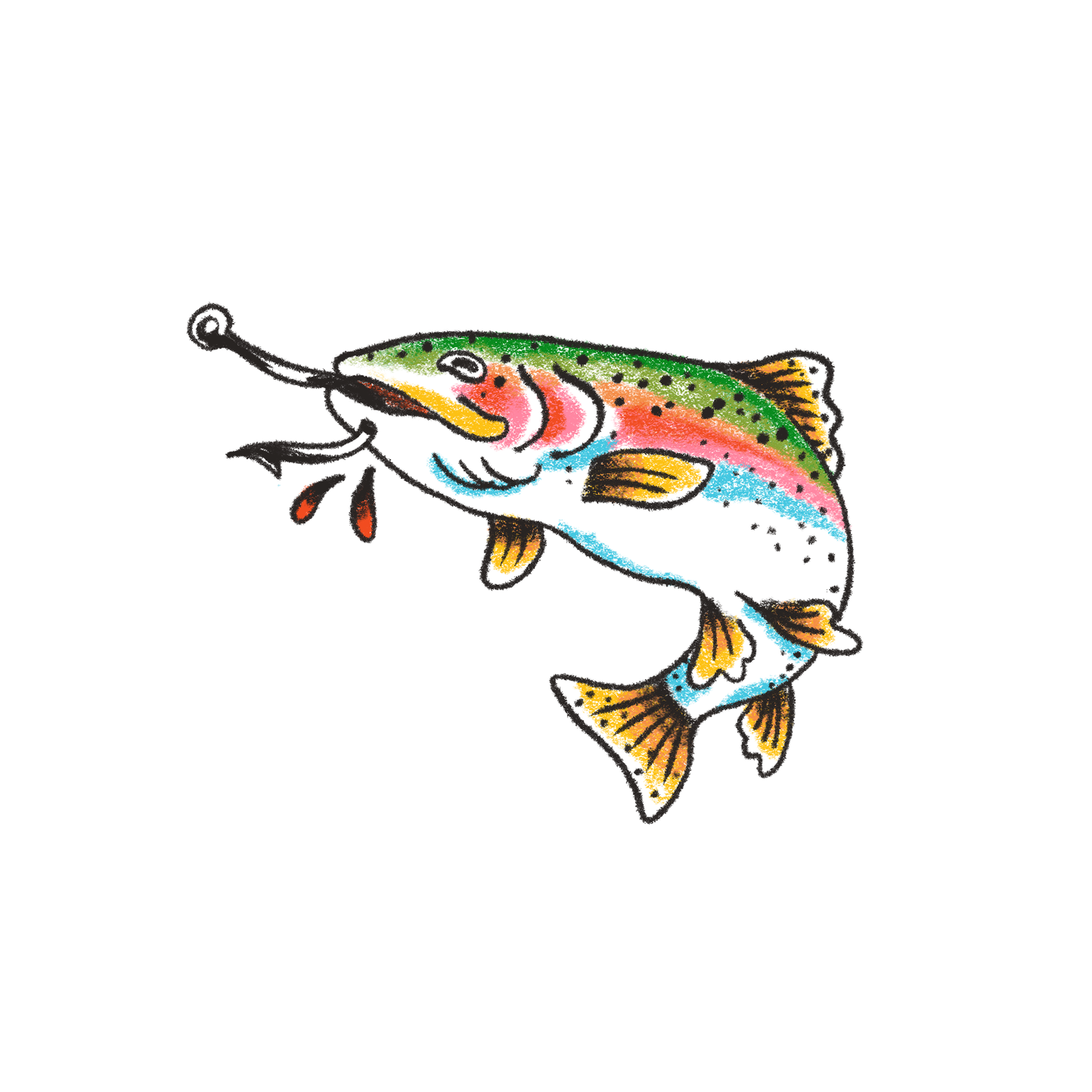 rainbow trout