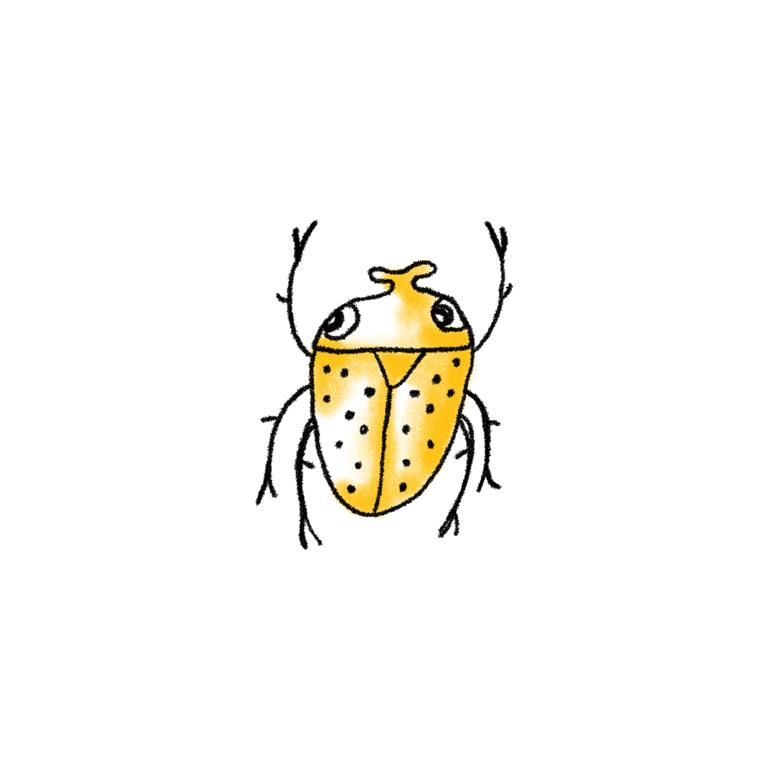 yellow beetle