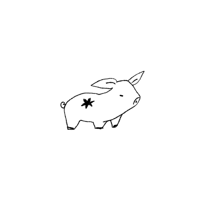 pig with star