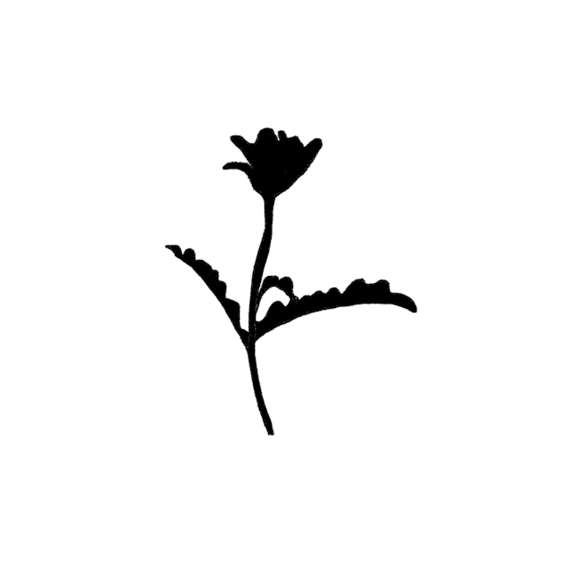 tulip silhouette 1