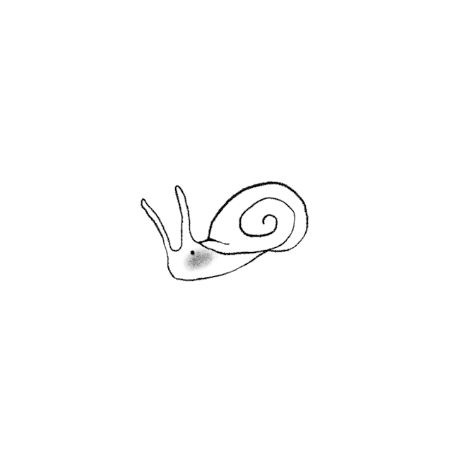 blushing snail