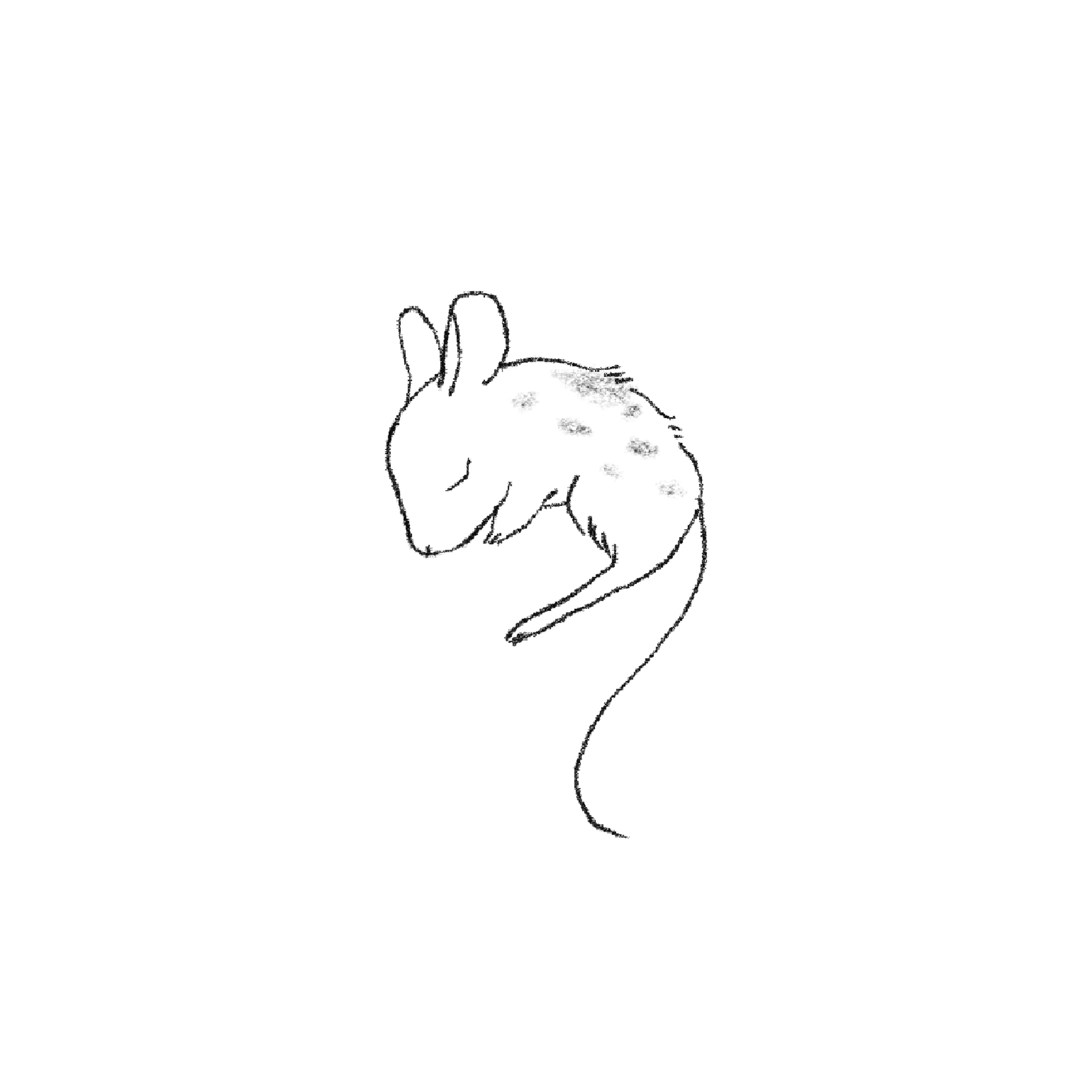 sleeping mouse