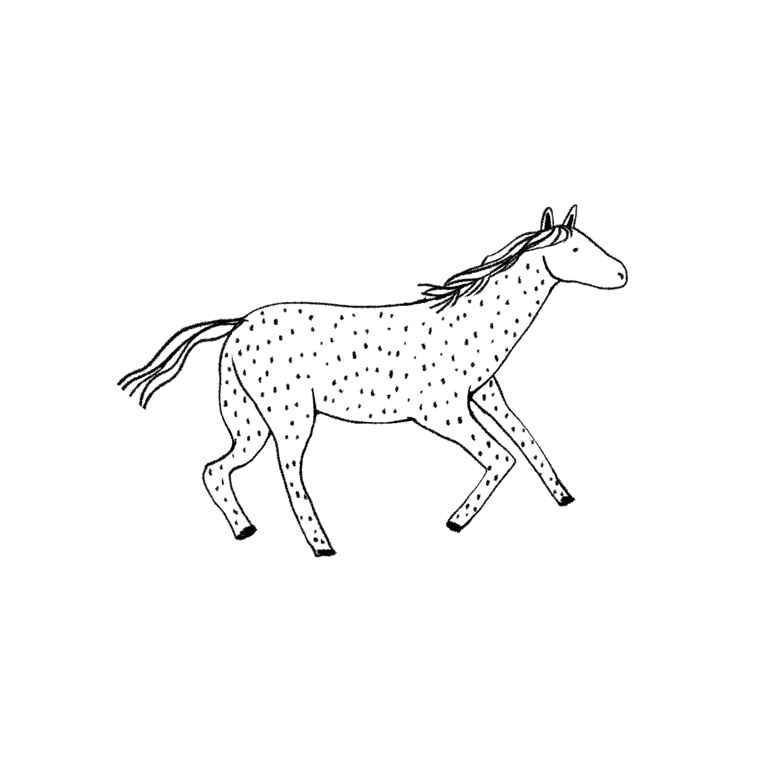 spotted horse