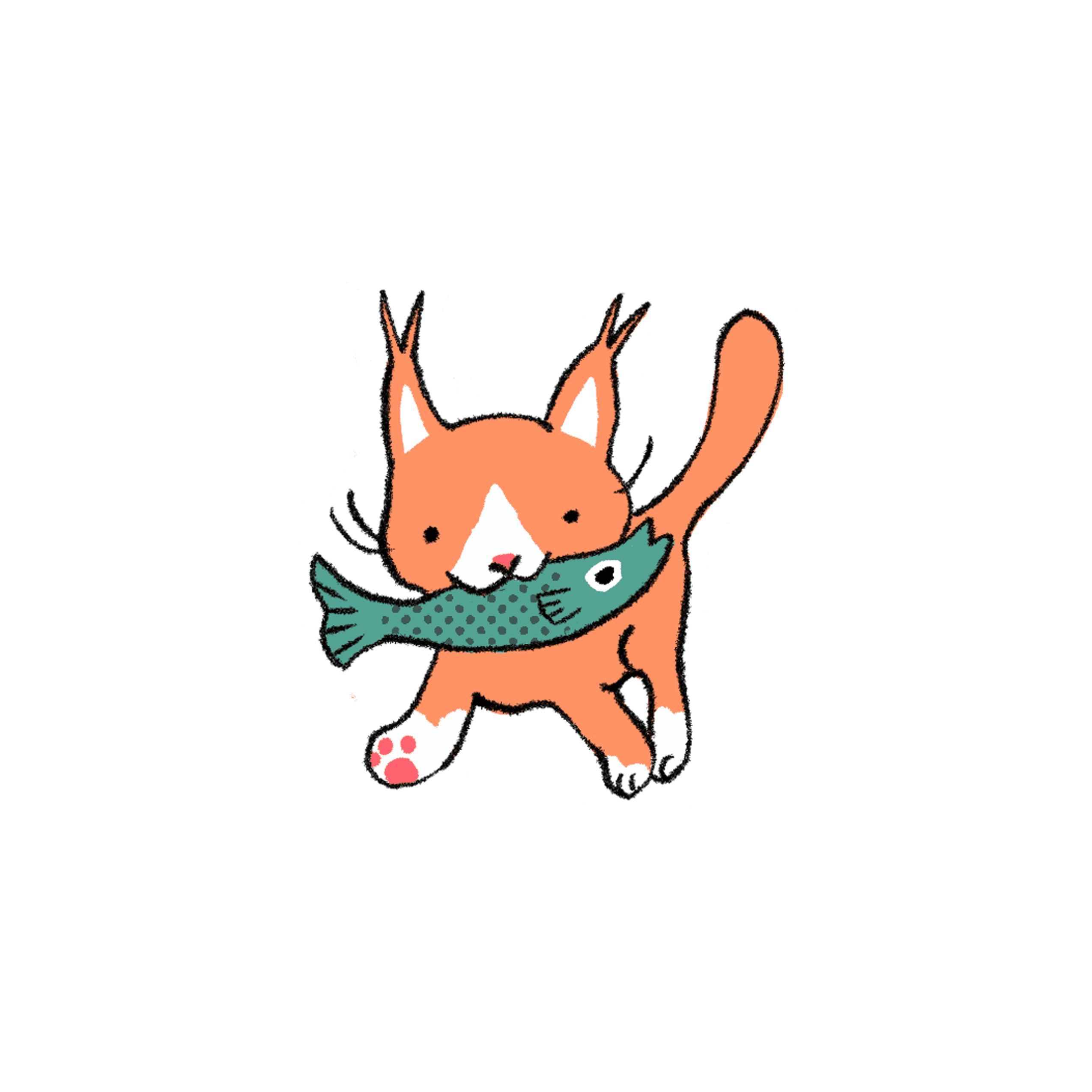 fish kitty