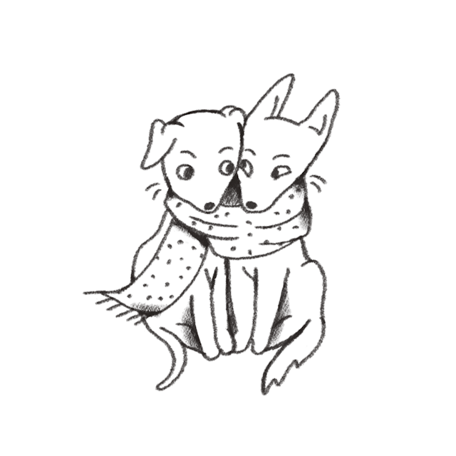 scarf puppies