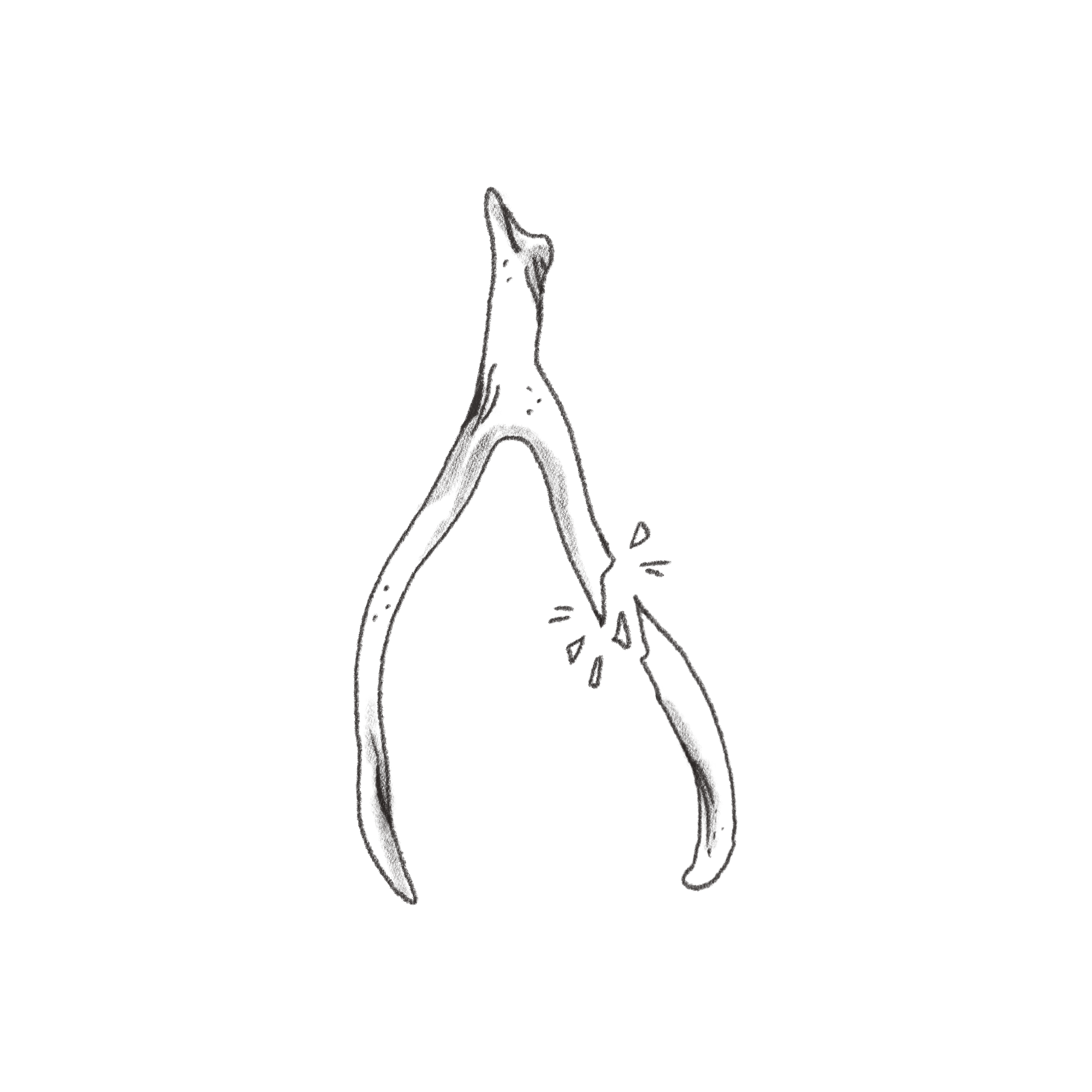 wishbone