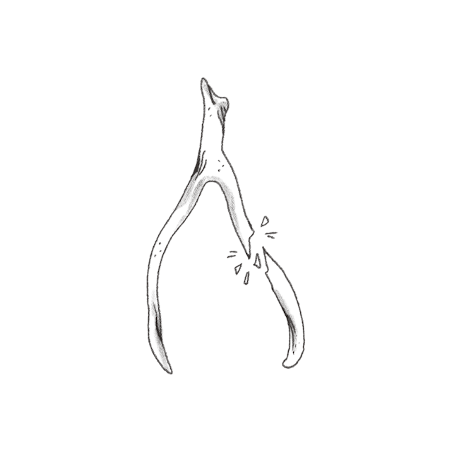 wishbone