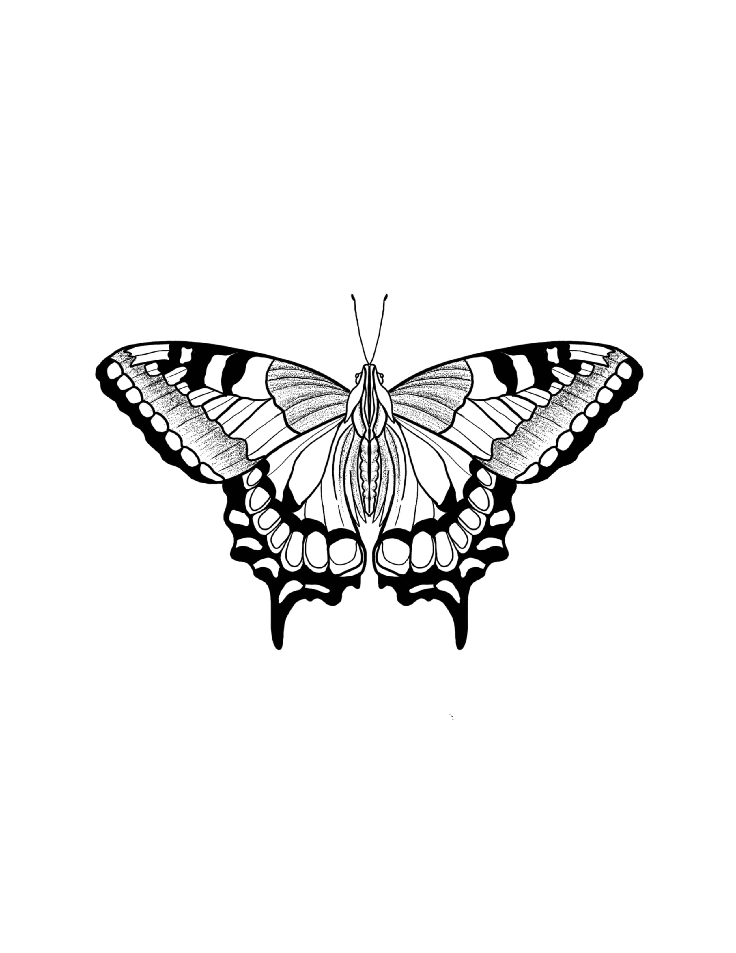 Butterfly1.jpg