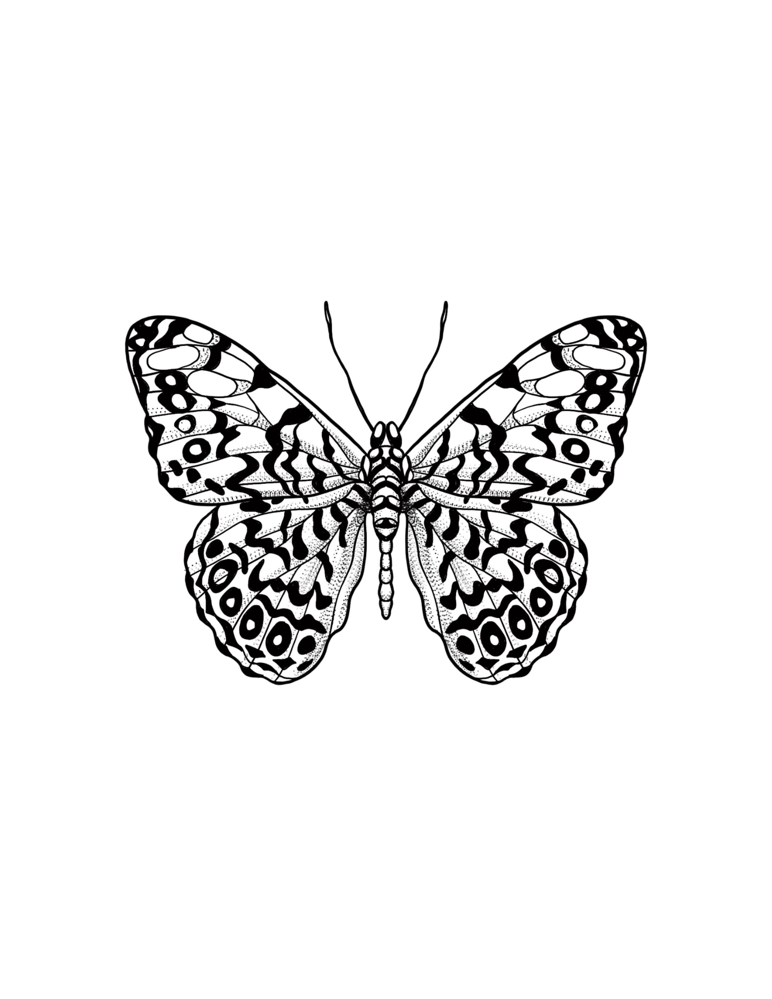 Butterfly2.jpg