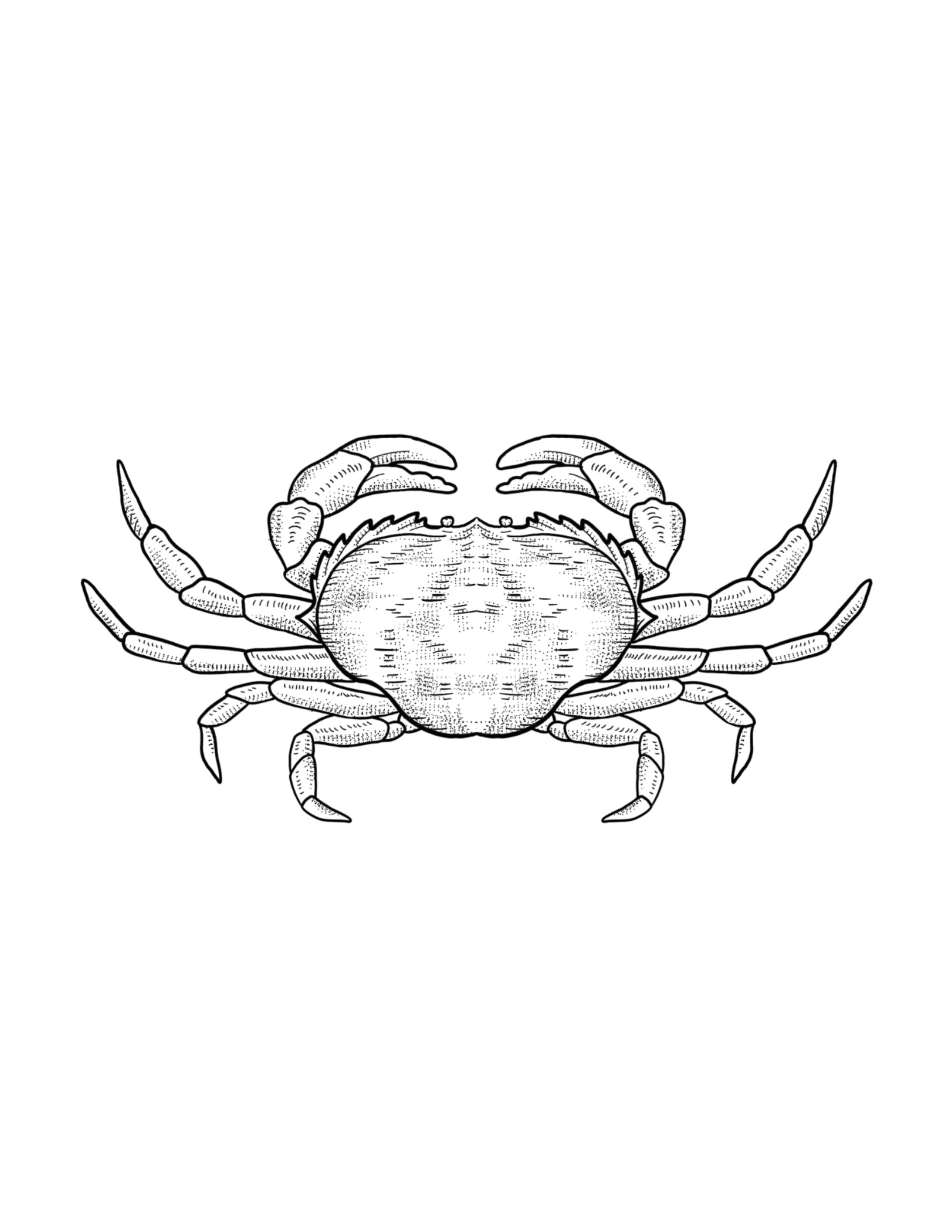 Crab.jpg