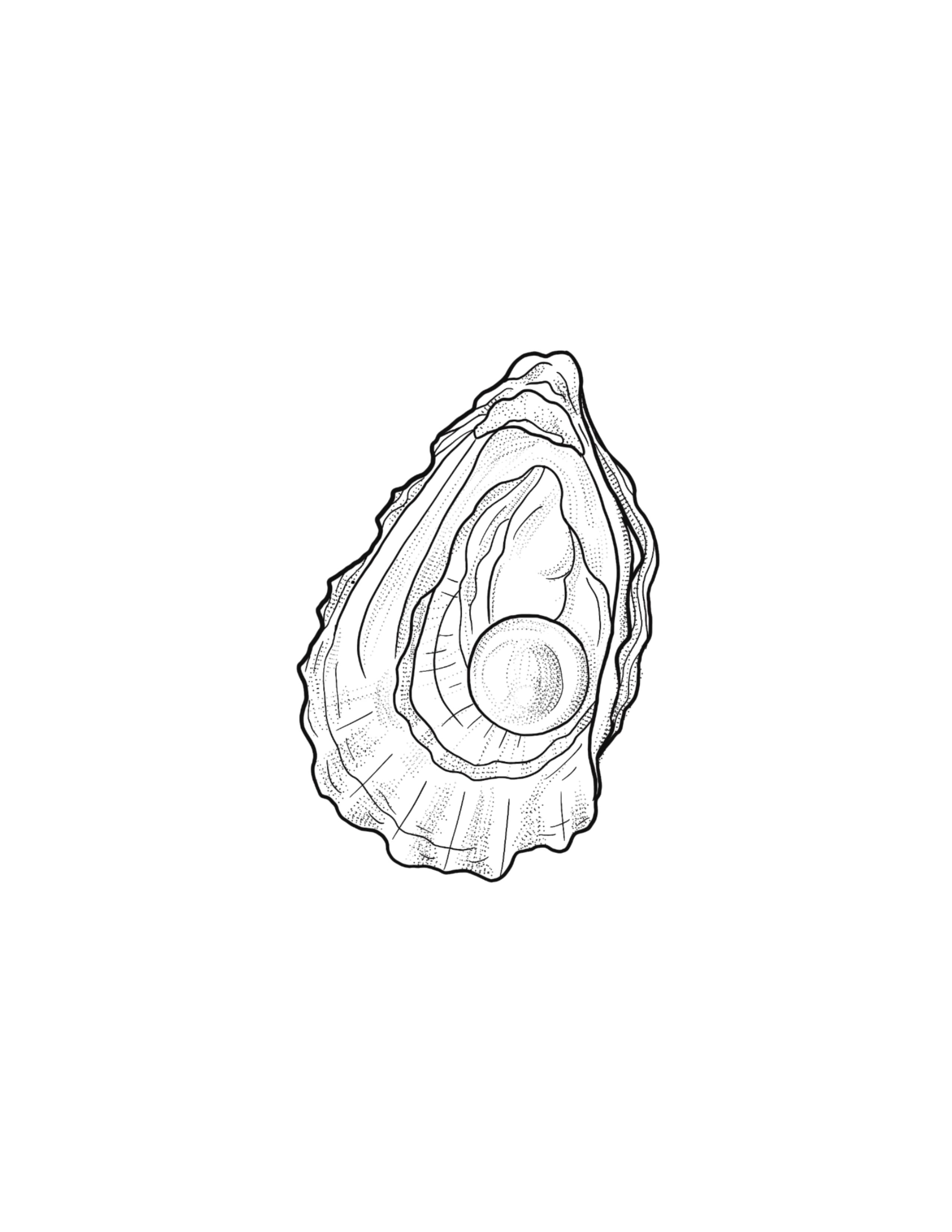Oyster.jpg