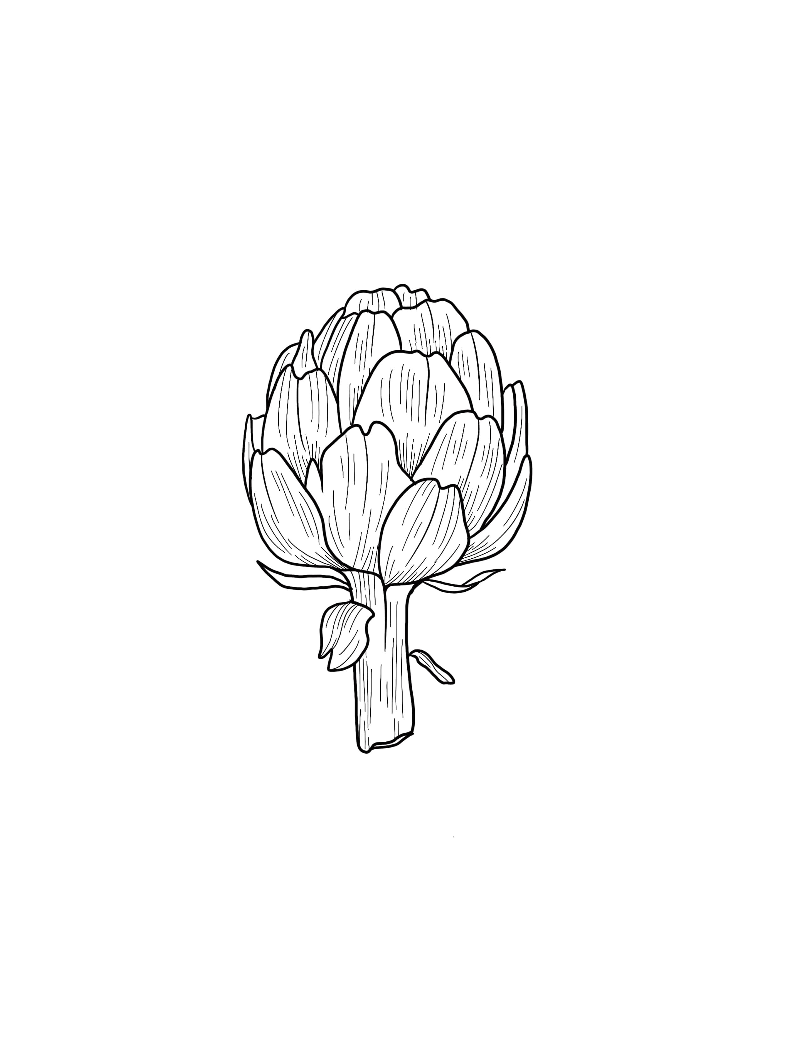 artichoke.jpg
