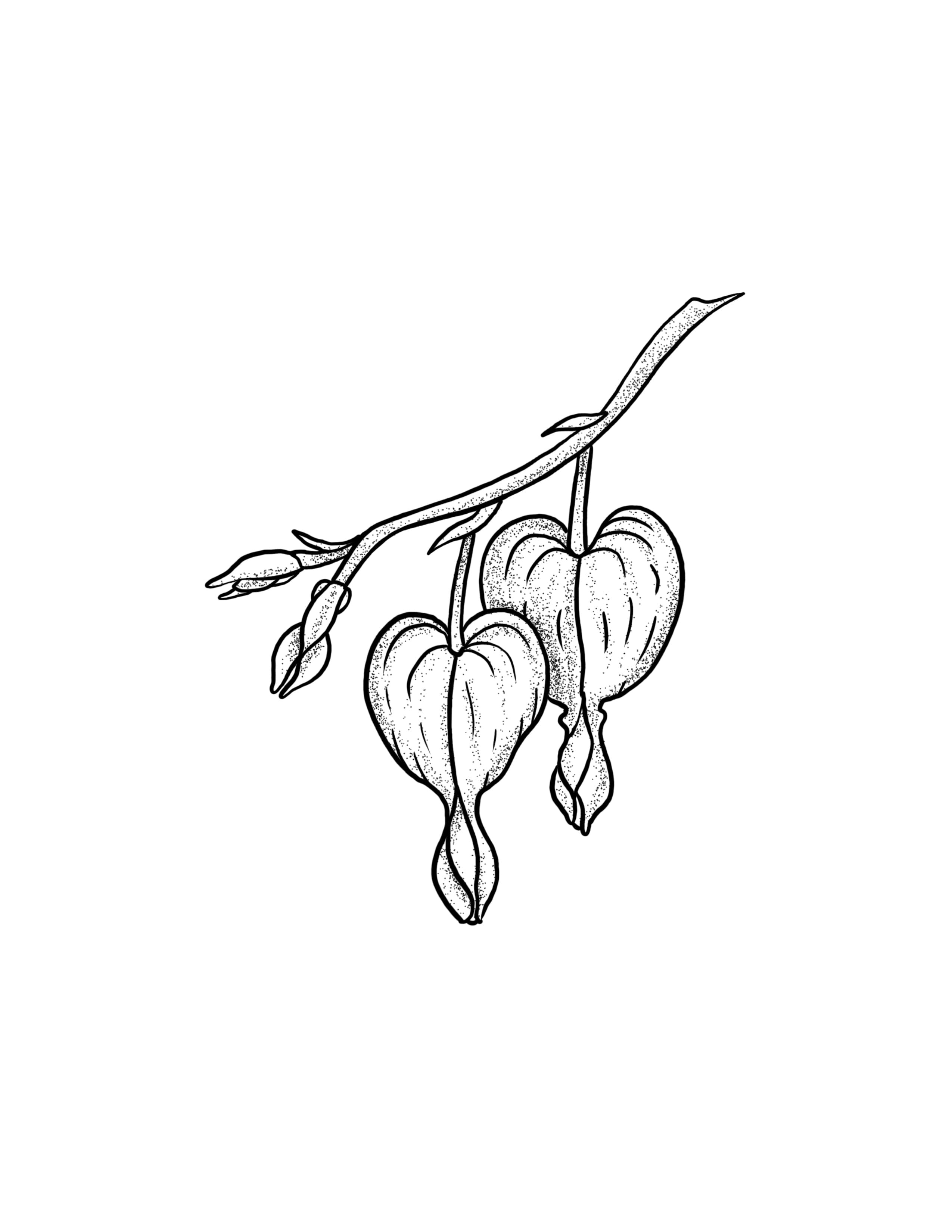 Bleeding Hearts.jpg