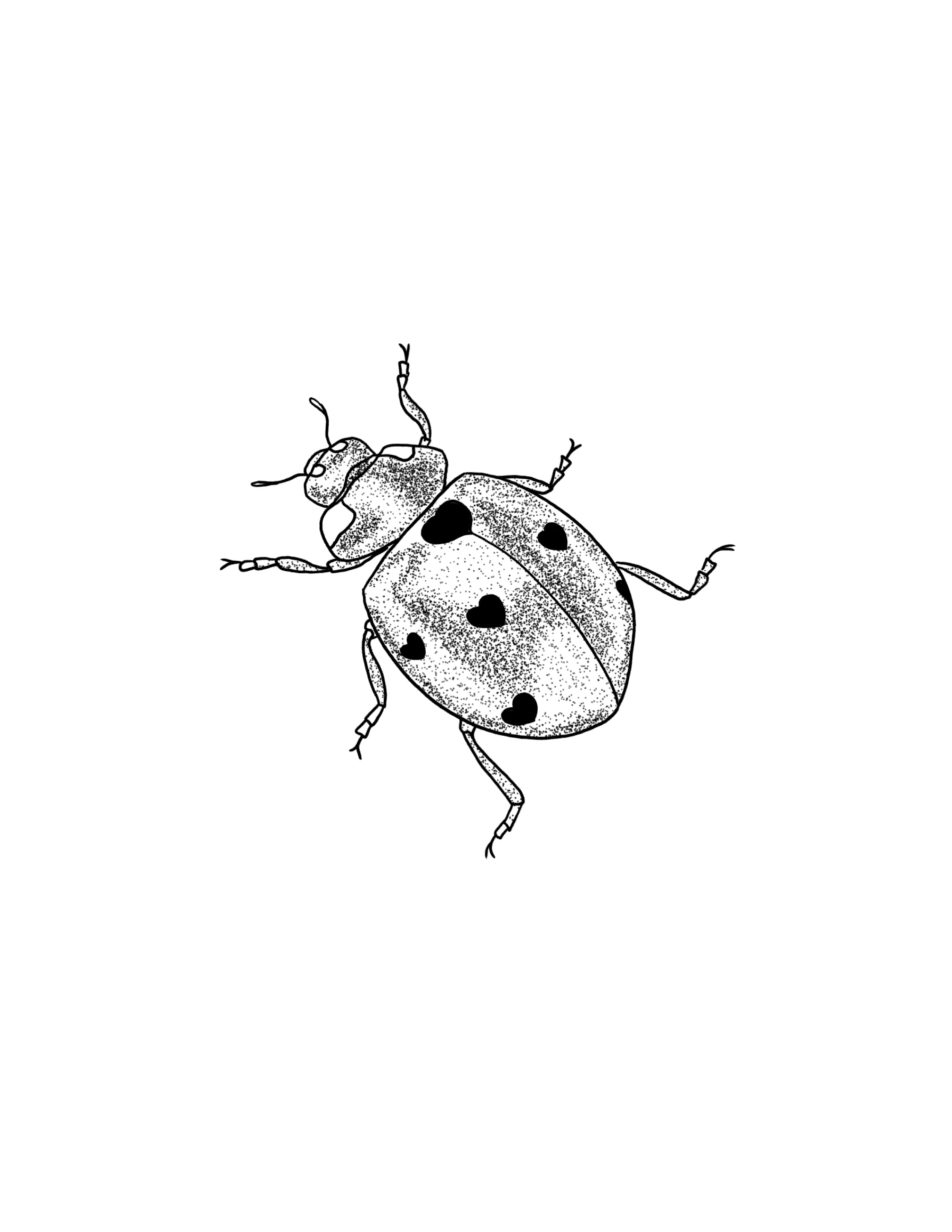 Lovebug.jpg