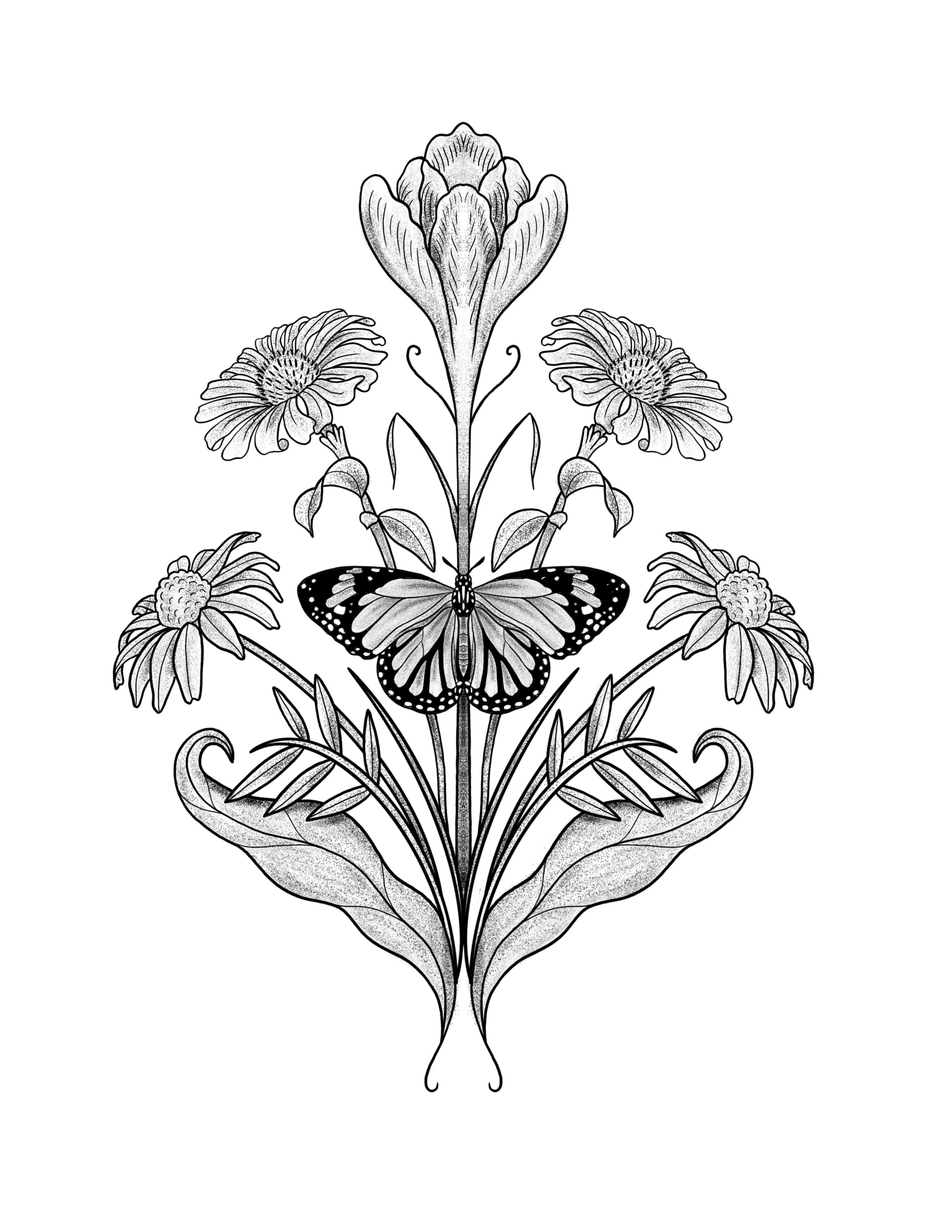 Monarch in spring.jpg