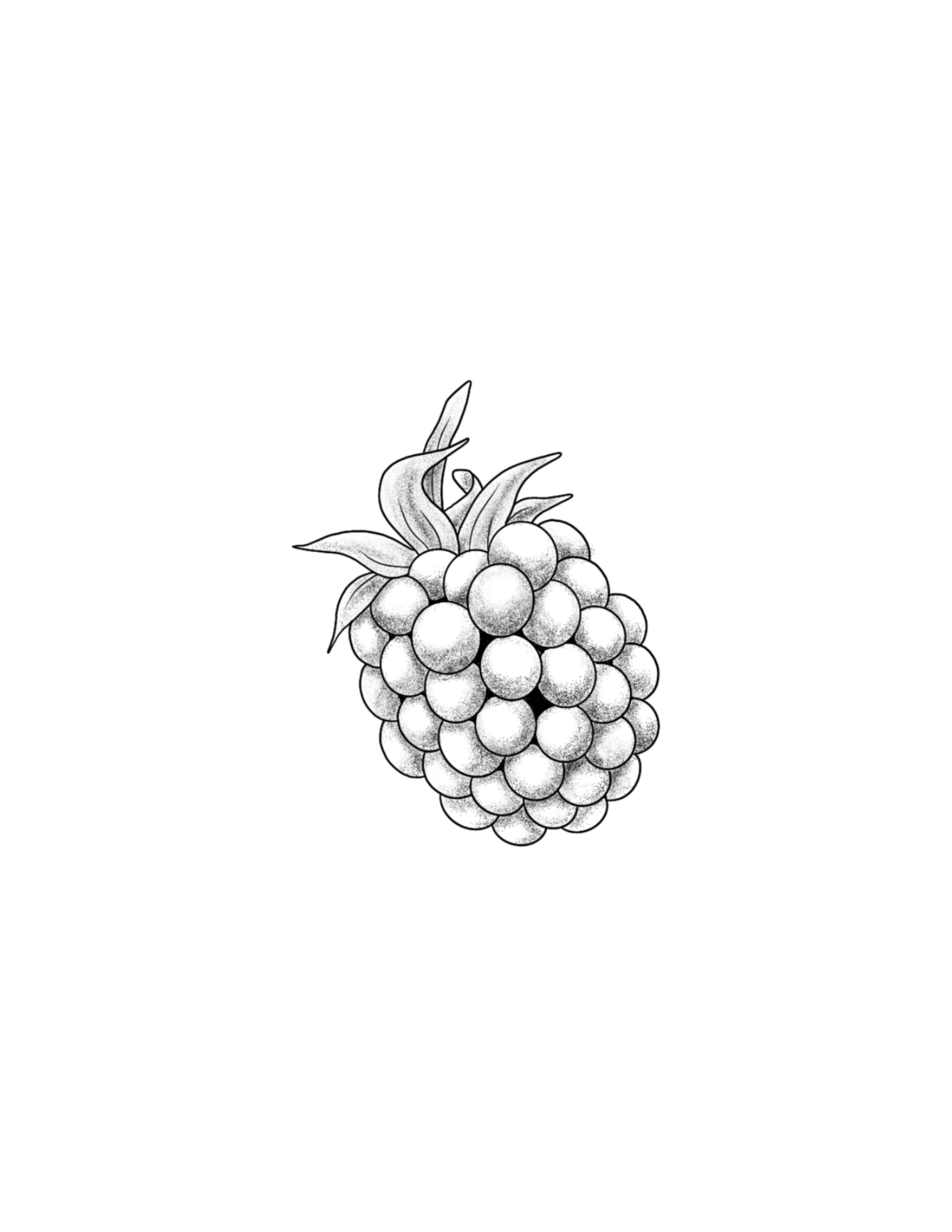 Blackberry.jpg