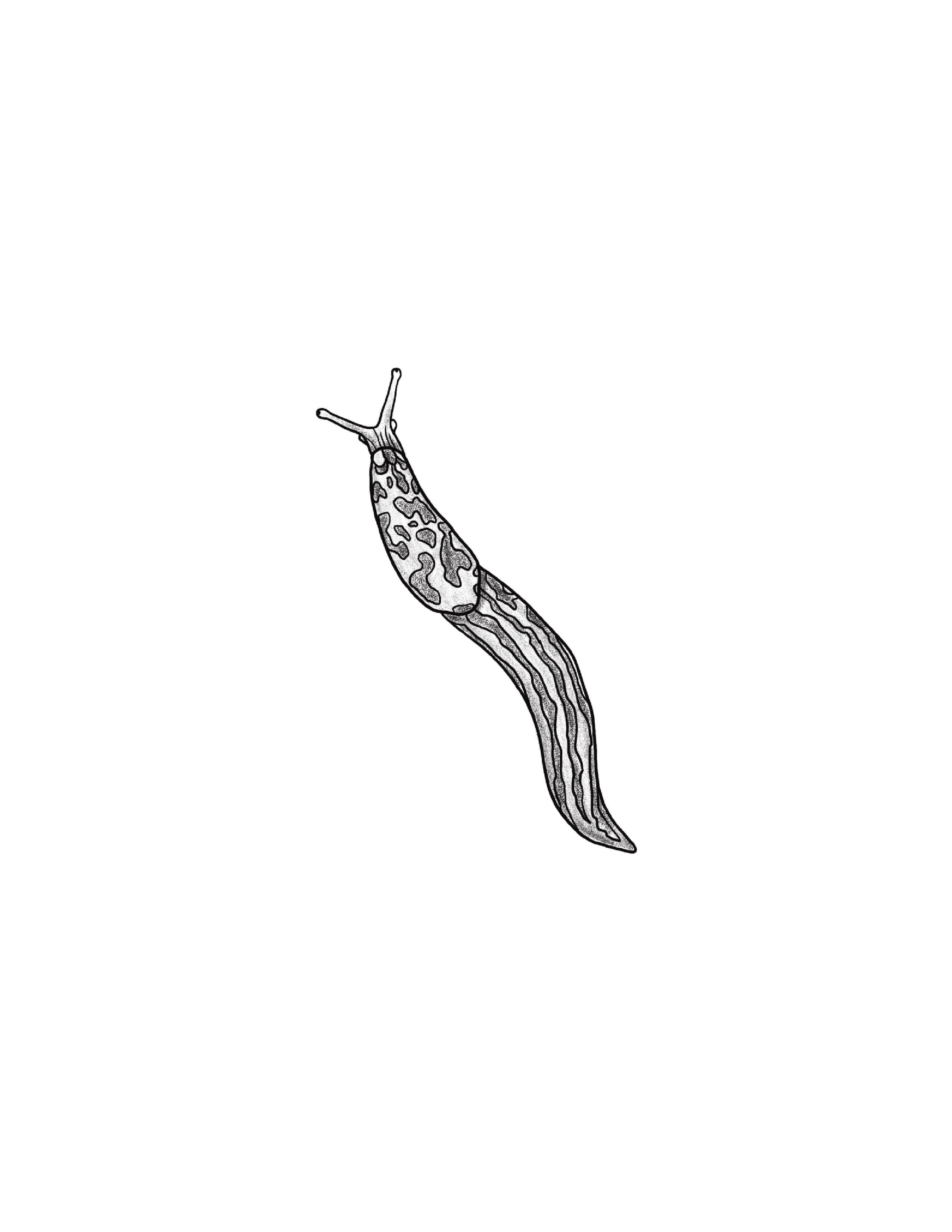 Untitled_Artwork 1.jpg