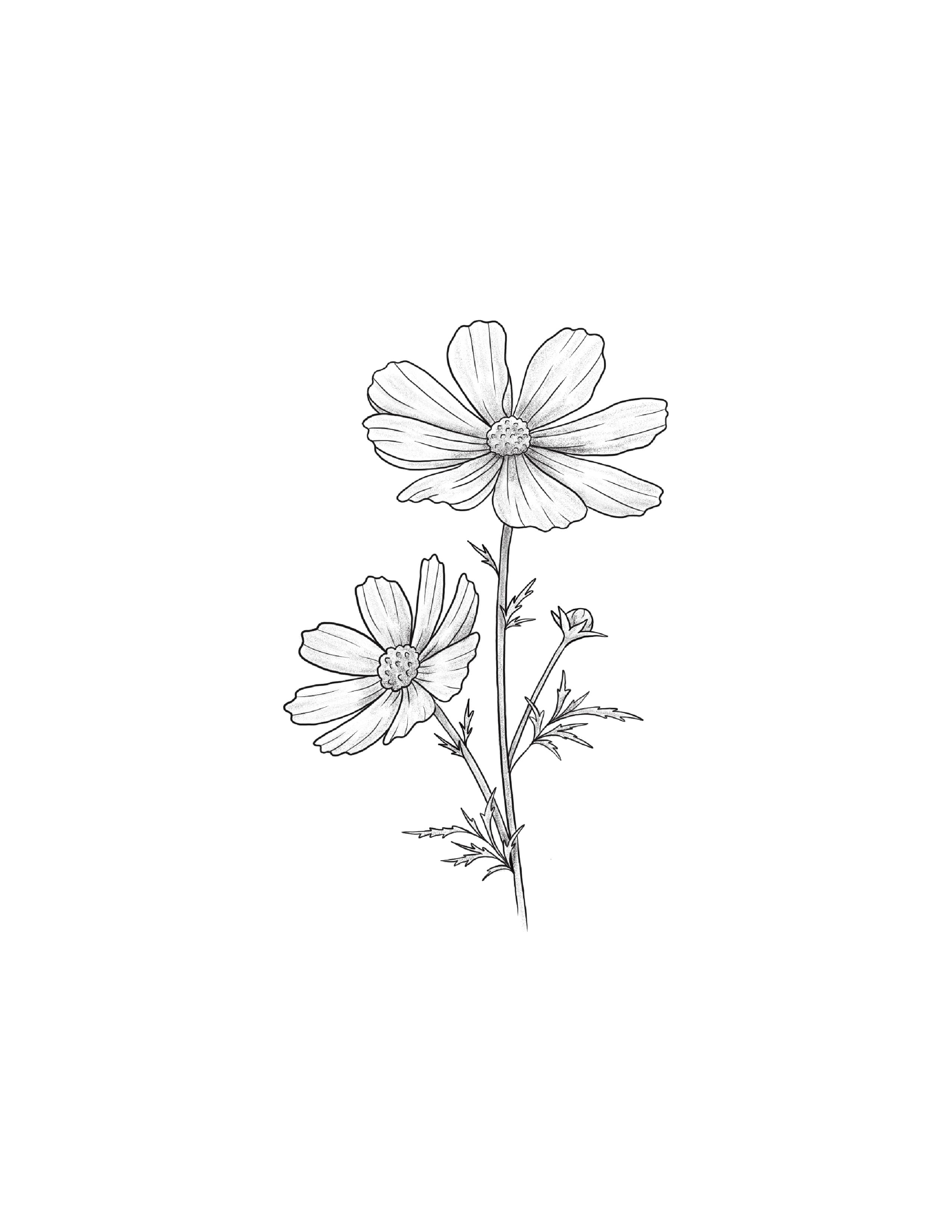 Untitled_Artwork 5.jpg