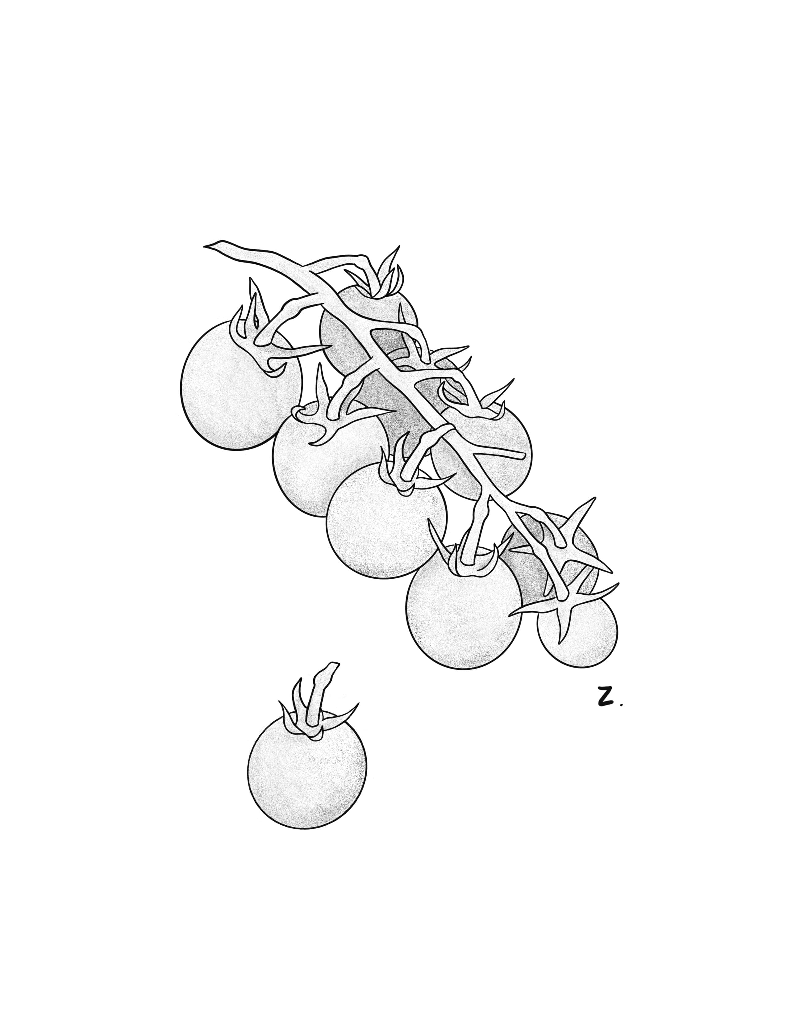 Sun gold tomatoes.jpg