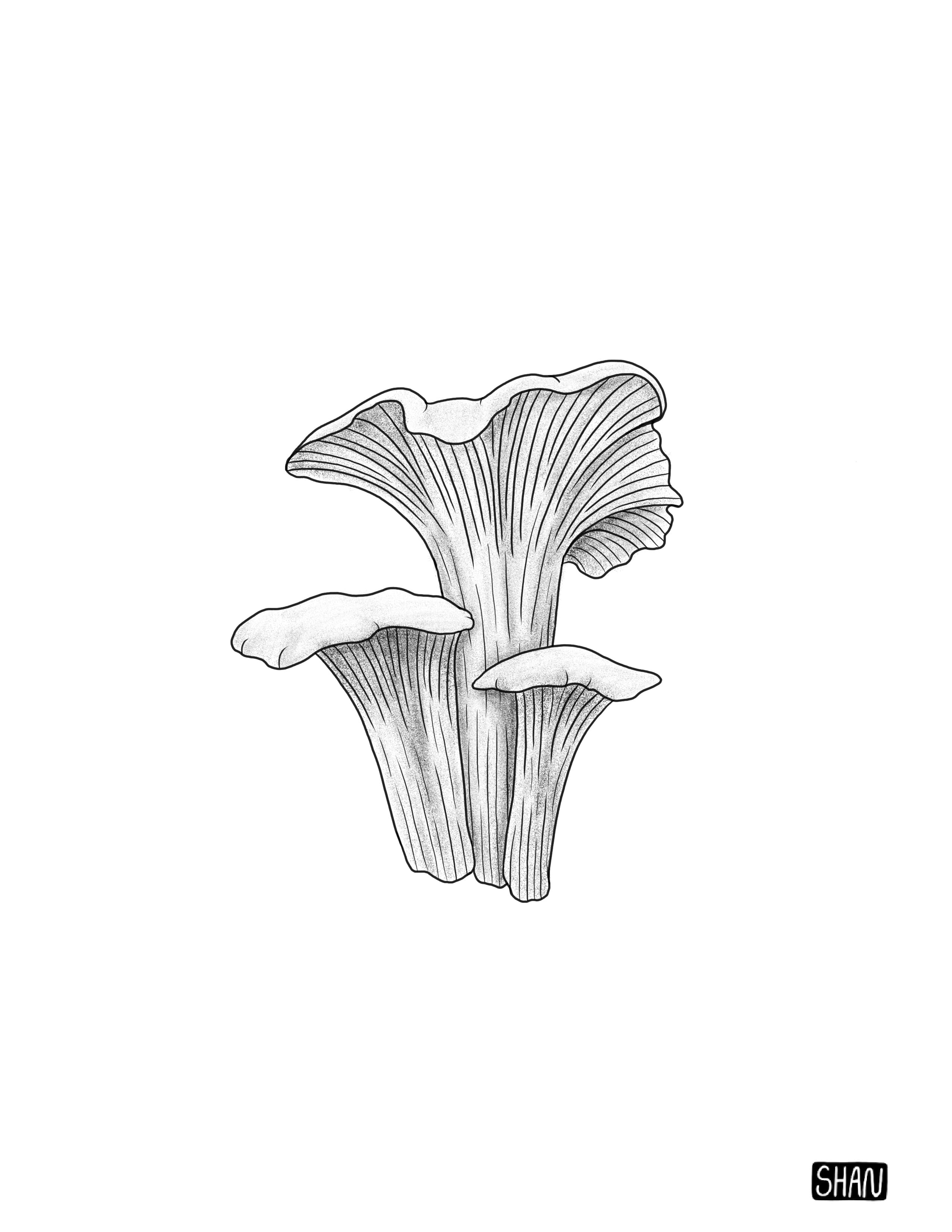 Untitled_Artwork 2.jpg