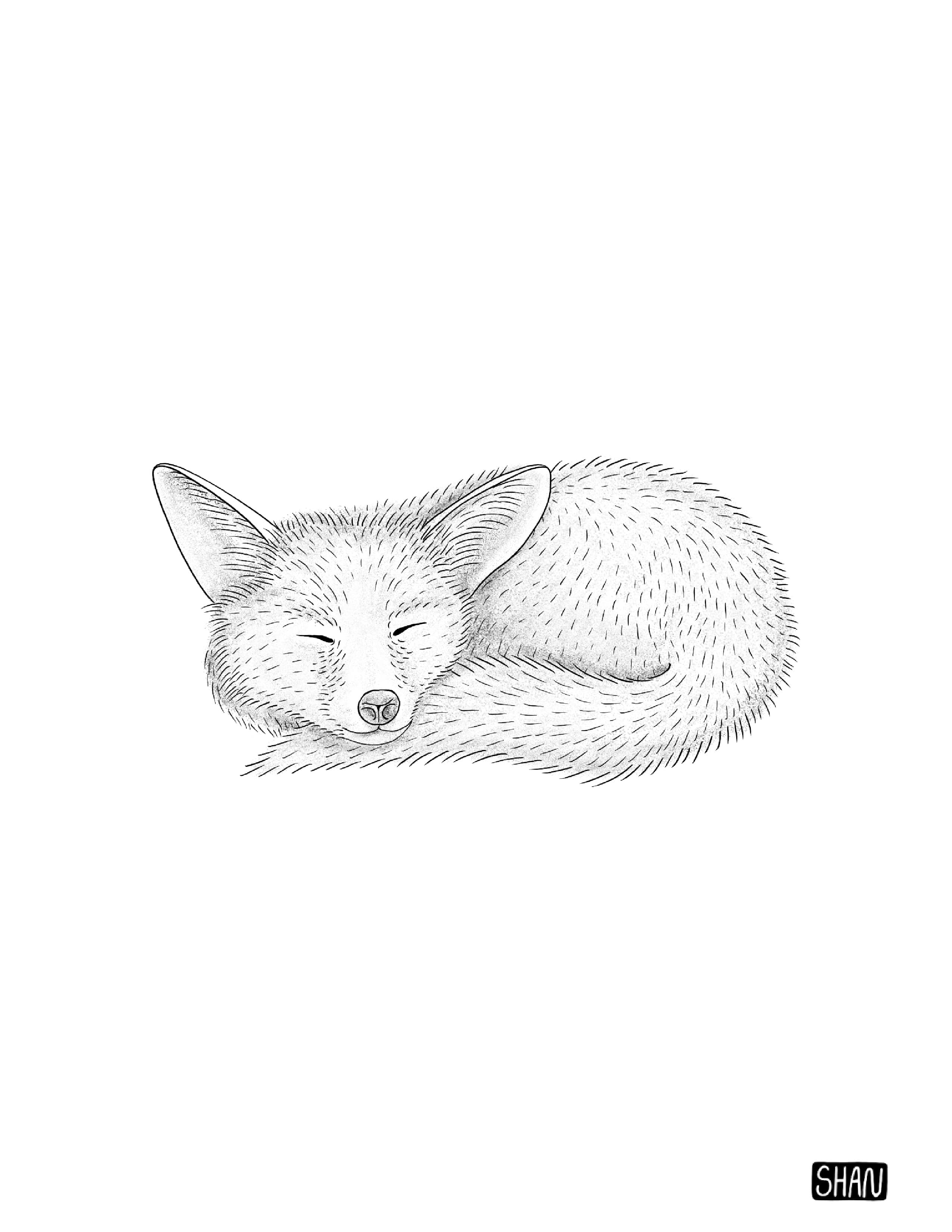 fox.jpg