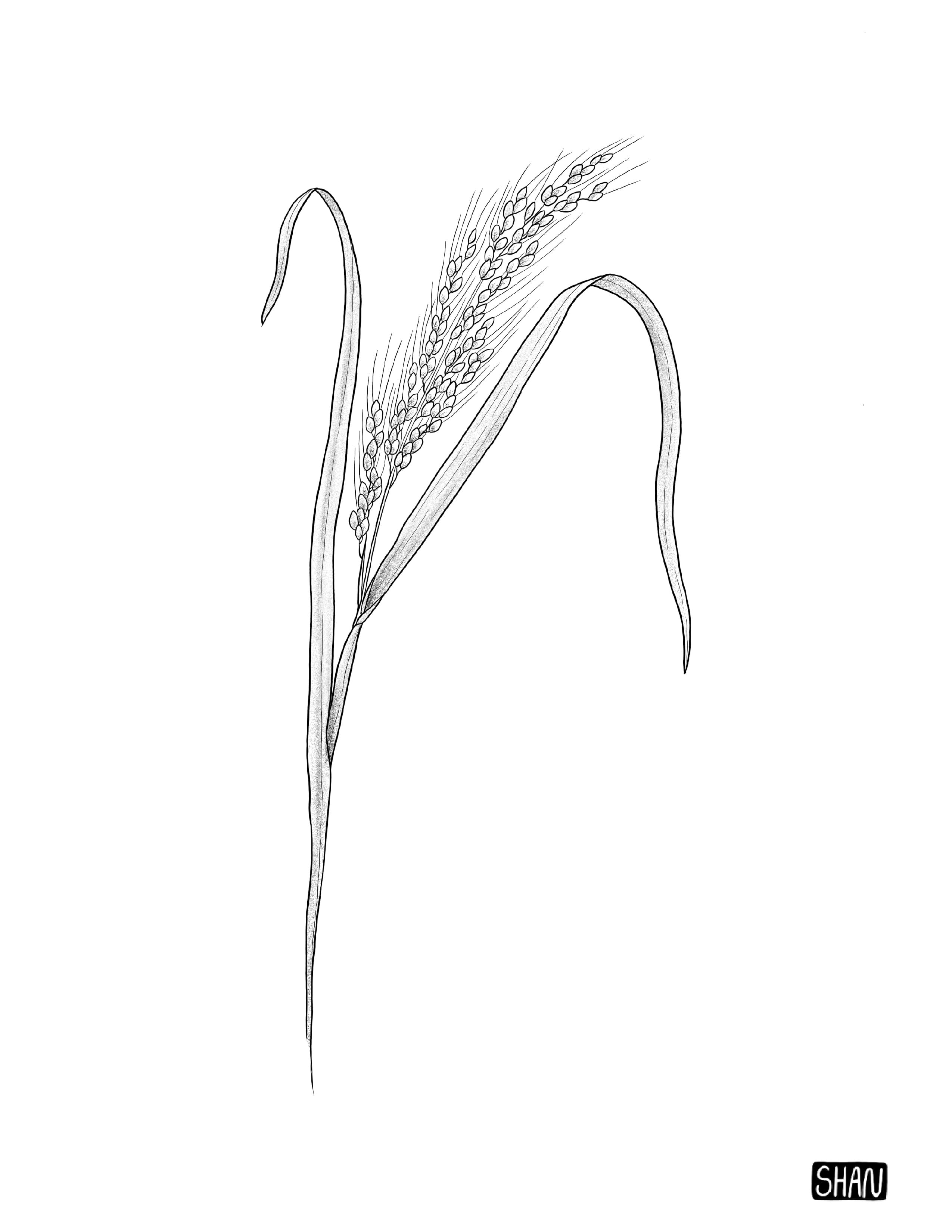 Untitled_Artwork 10.jpg