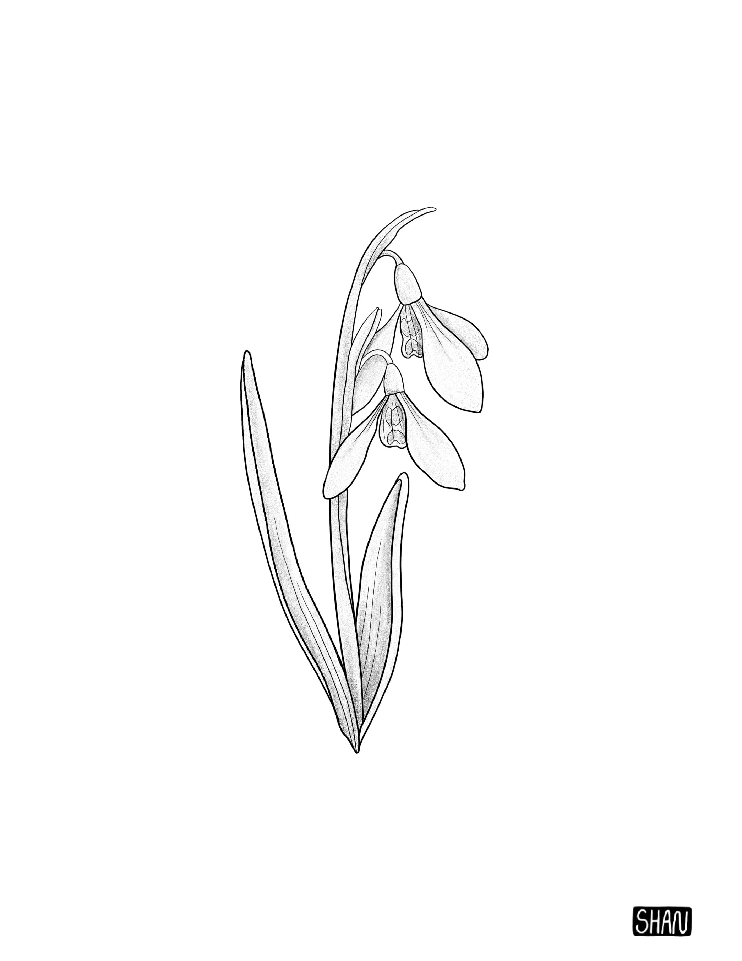 Untitled_Artwork 13.jpg