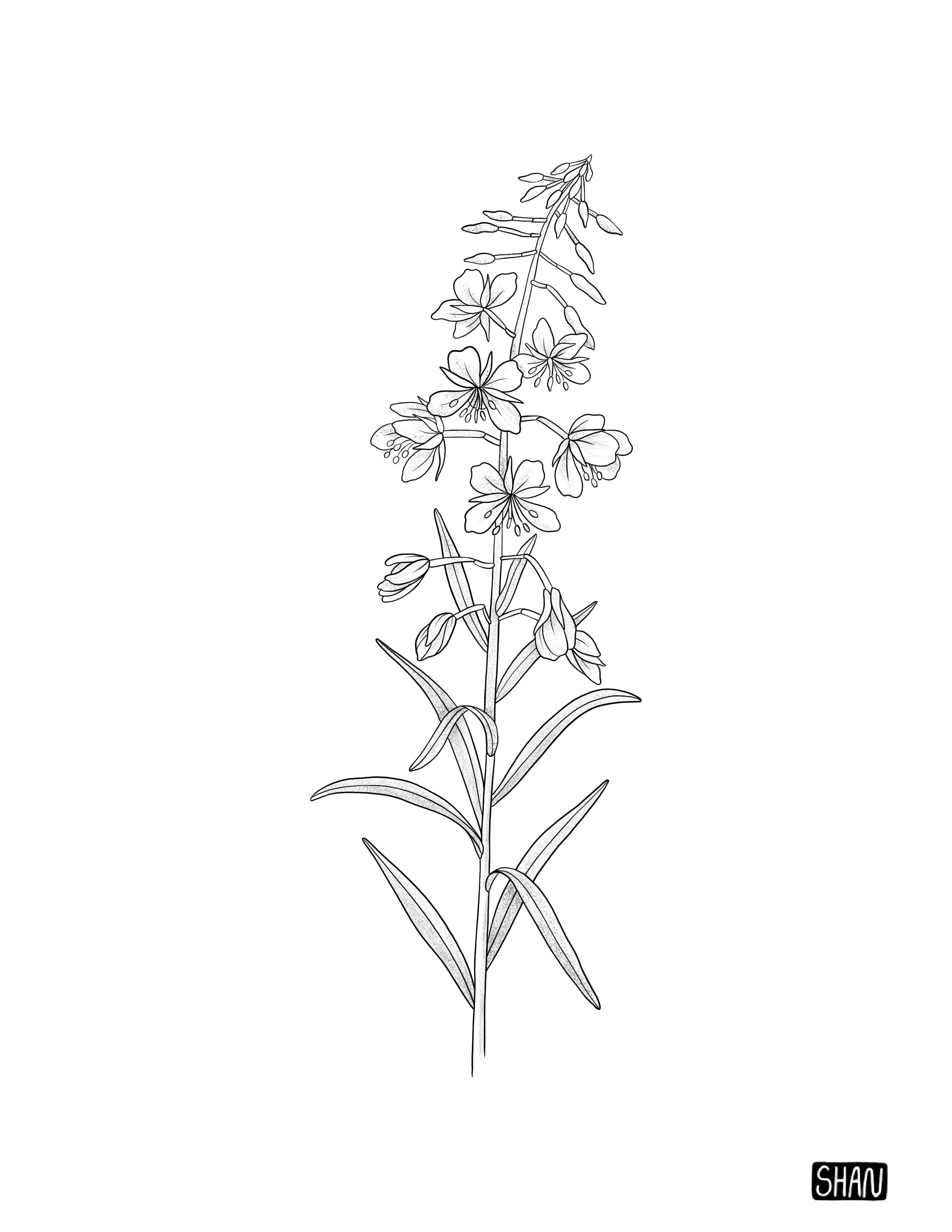 Untitled_Artwork 9.jpg