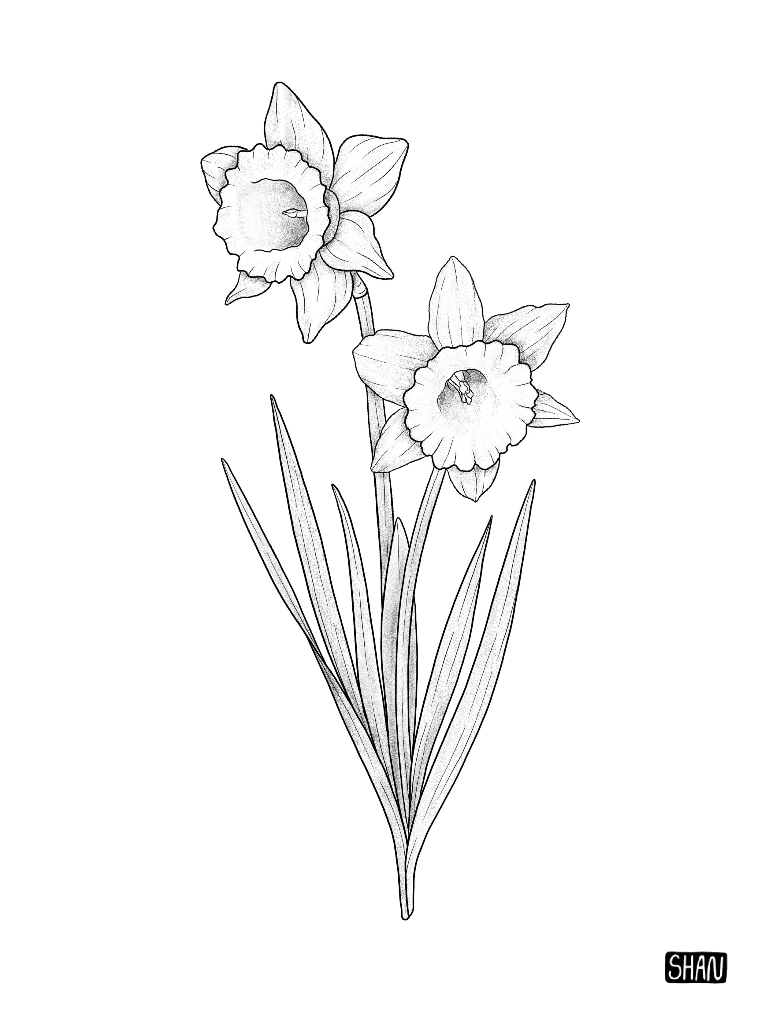 Untitled_Artwork.jpeg