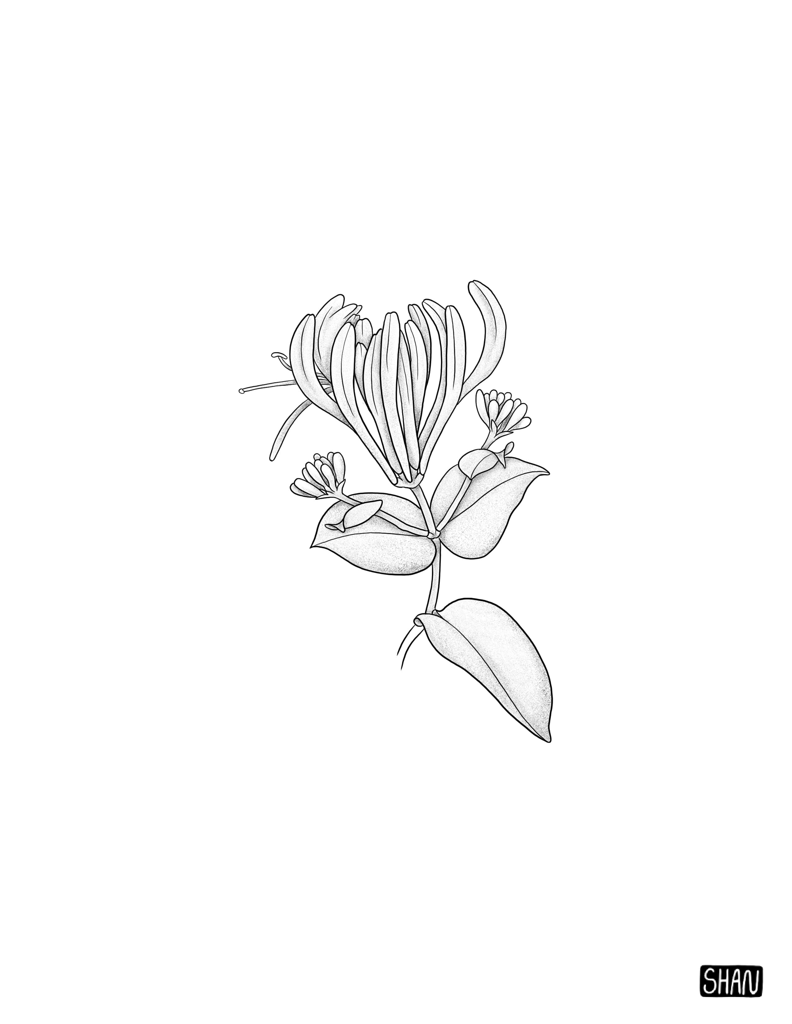 Untitled_Artwork 24.jpg