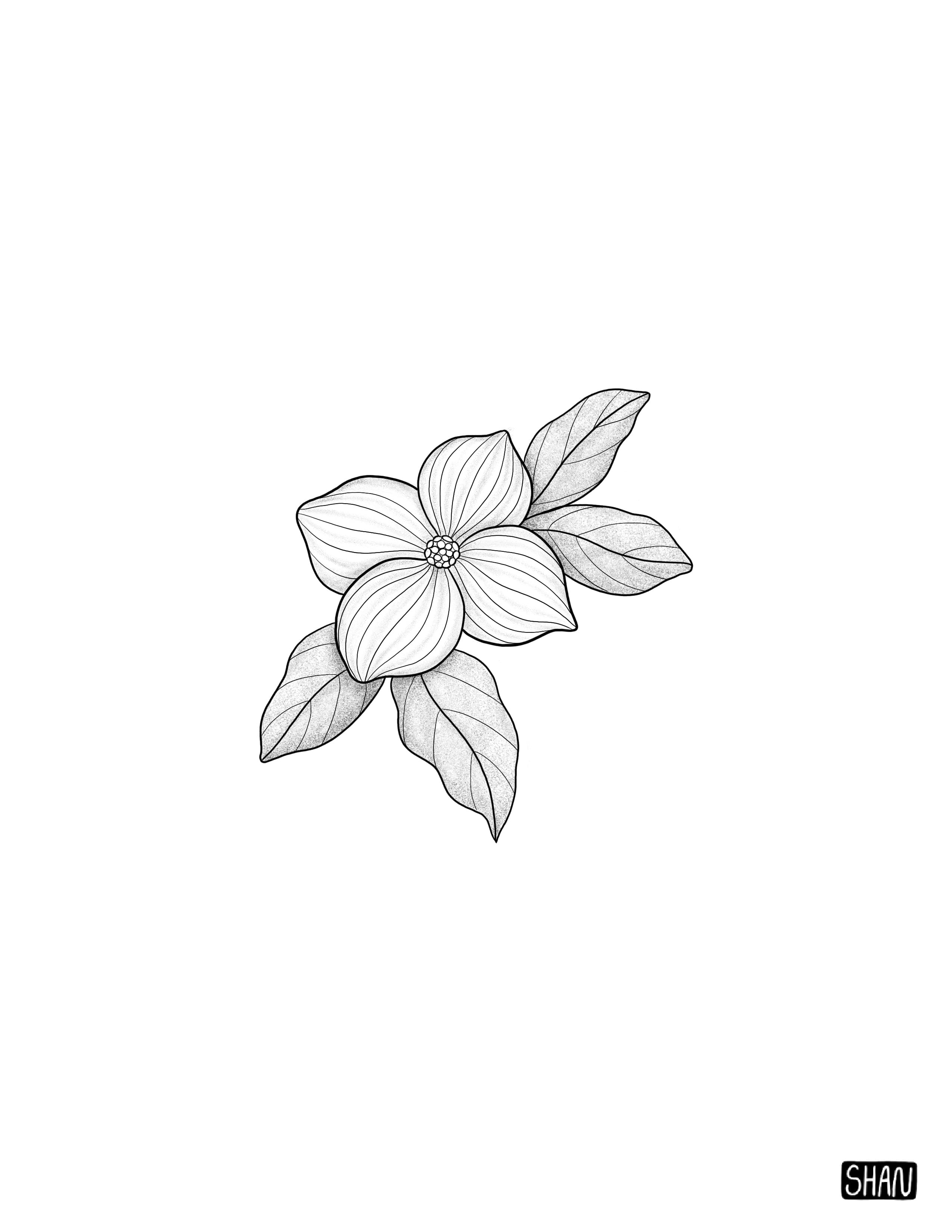 Untitled_Artwork 26.jpg
