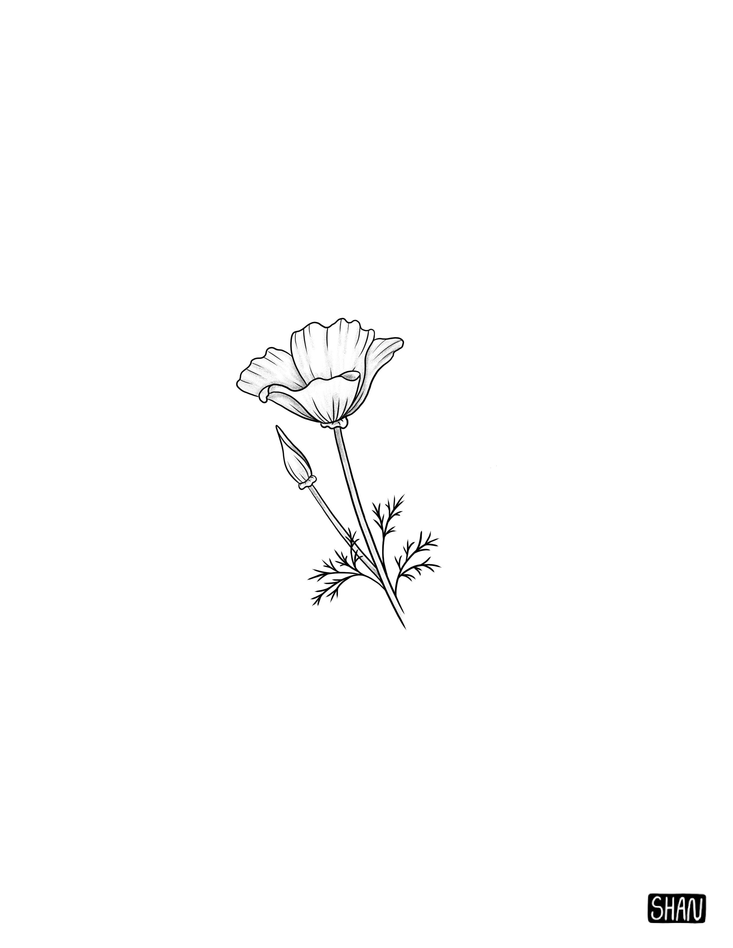 Untitled_Artwork 27.jpg