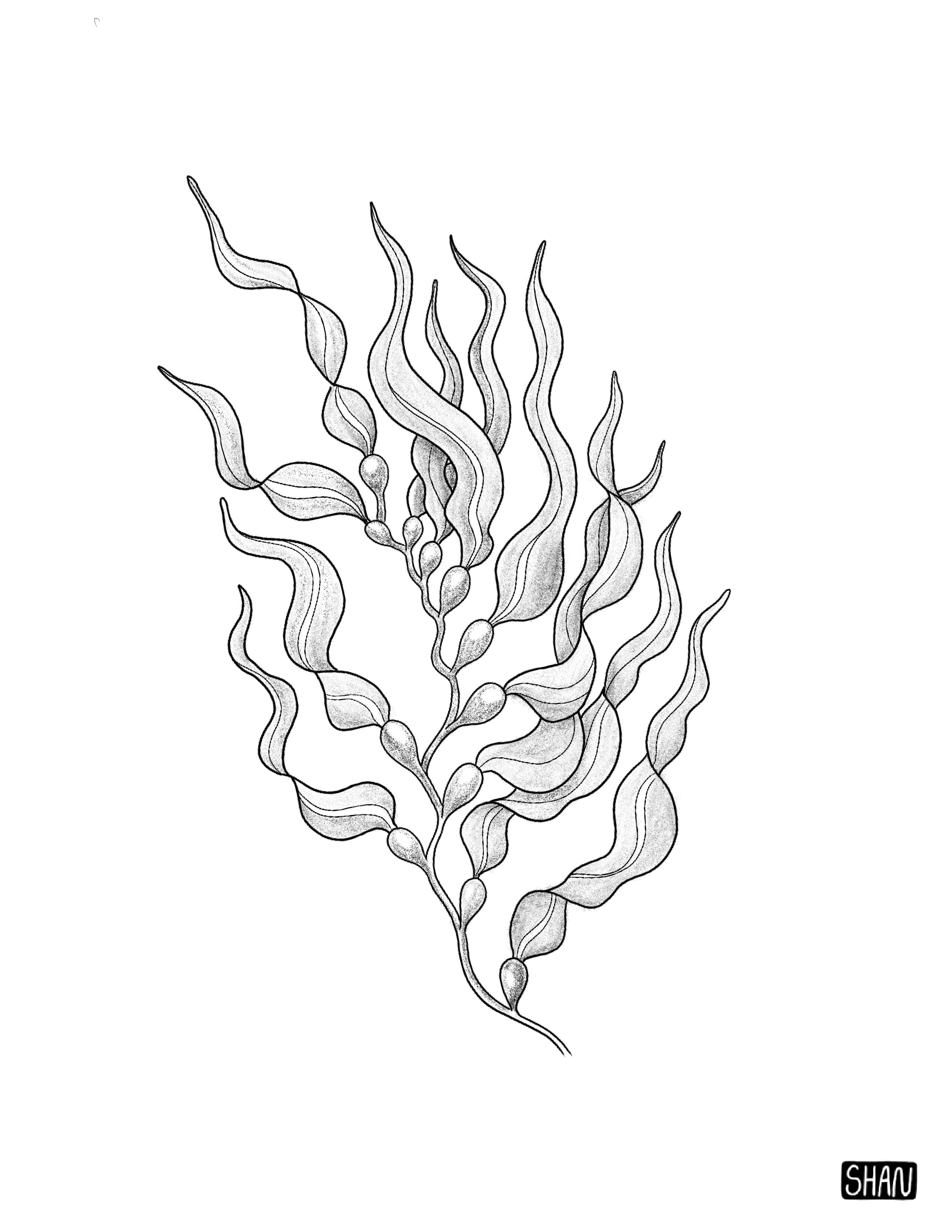 Untitled_Artwork 28.jpg