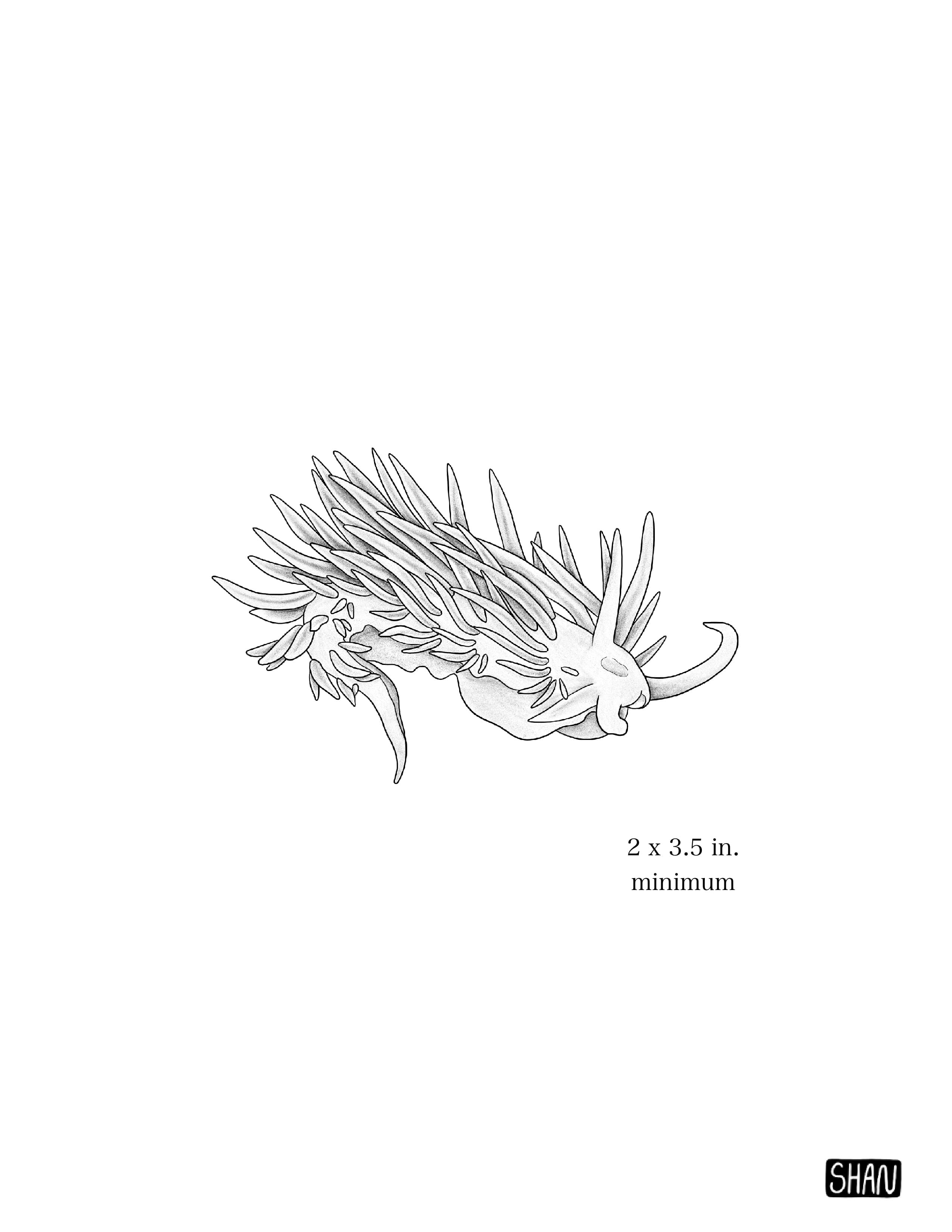 Untitled_Artwork 29 copy.jpg
