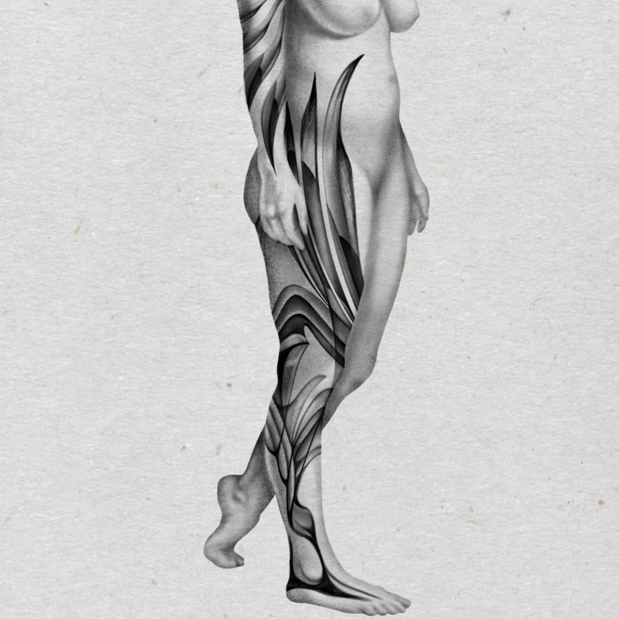255 Leg Sleeve 2.jpg