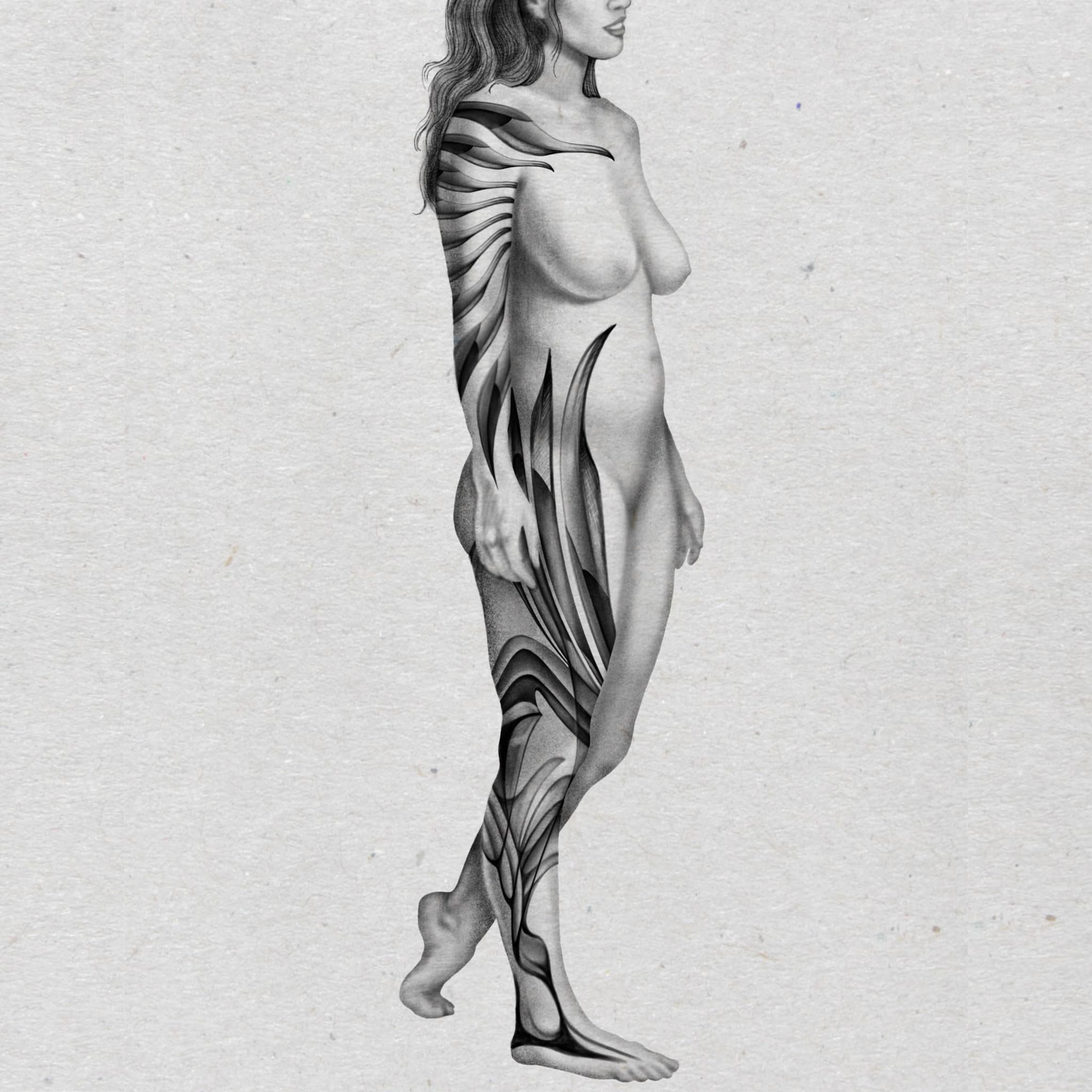 Body Comp 1.jpg