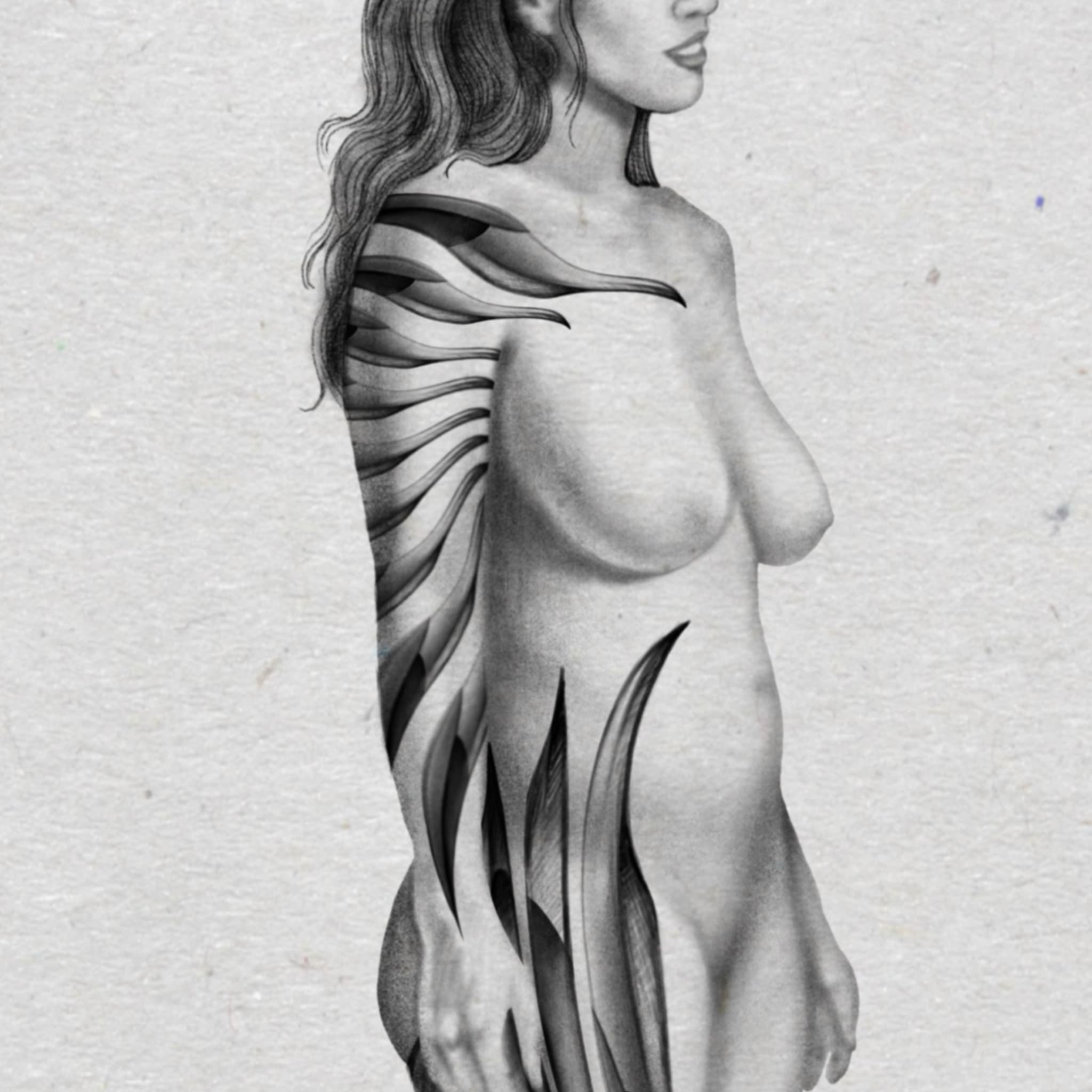 Feather Sleeve 2.jpg