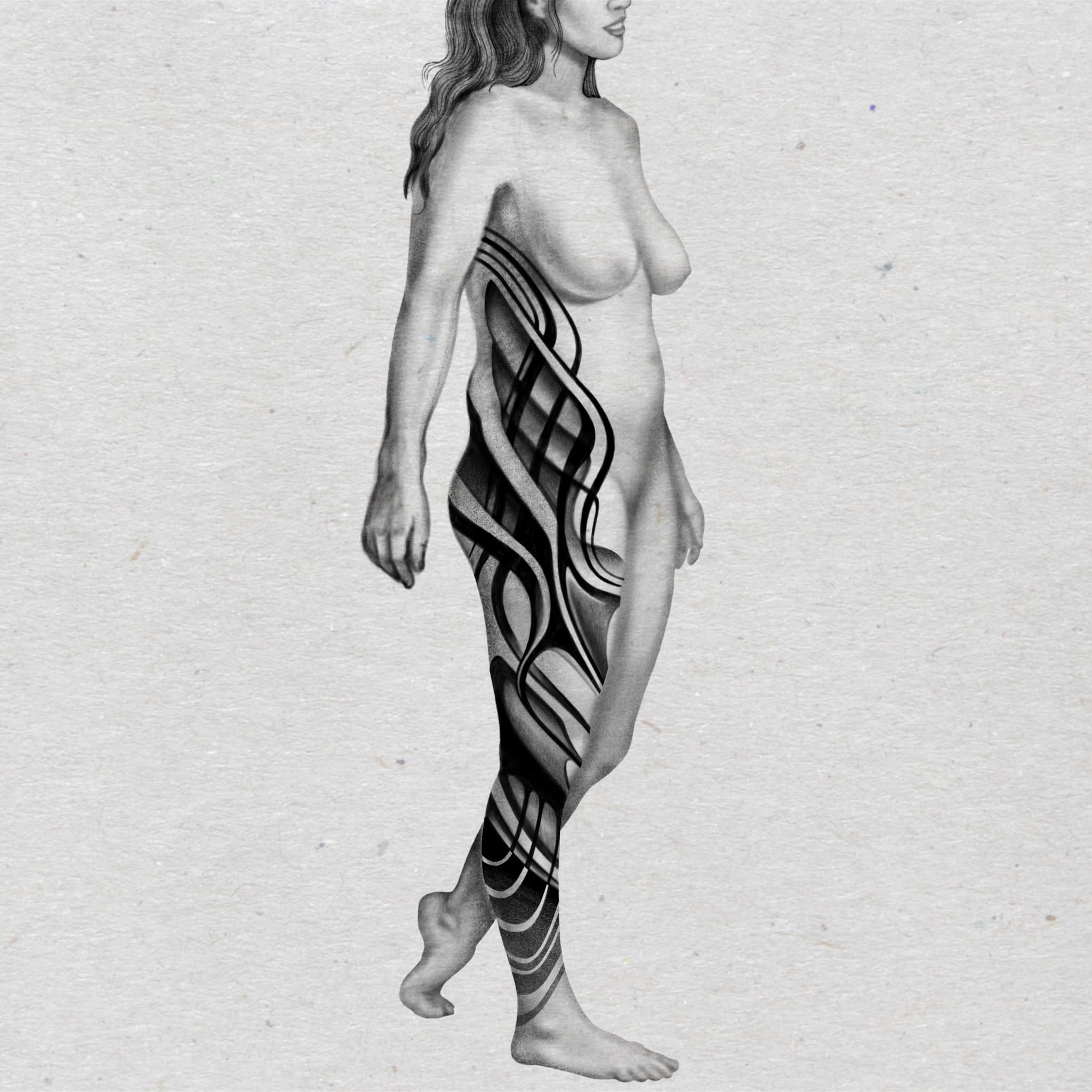 Body Composition.jpg