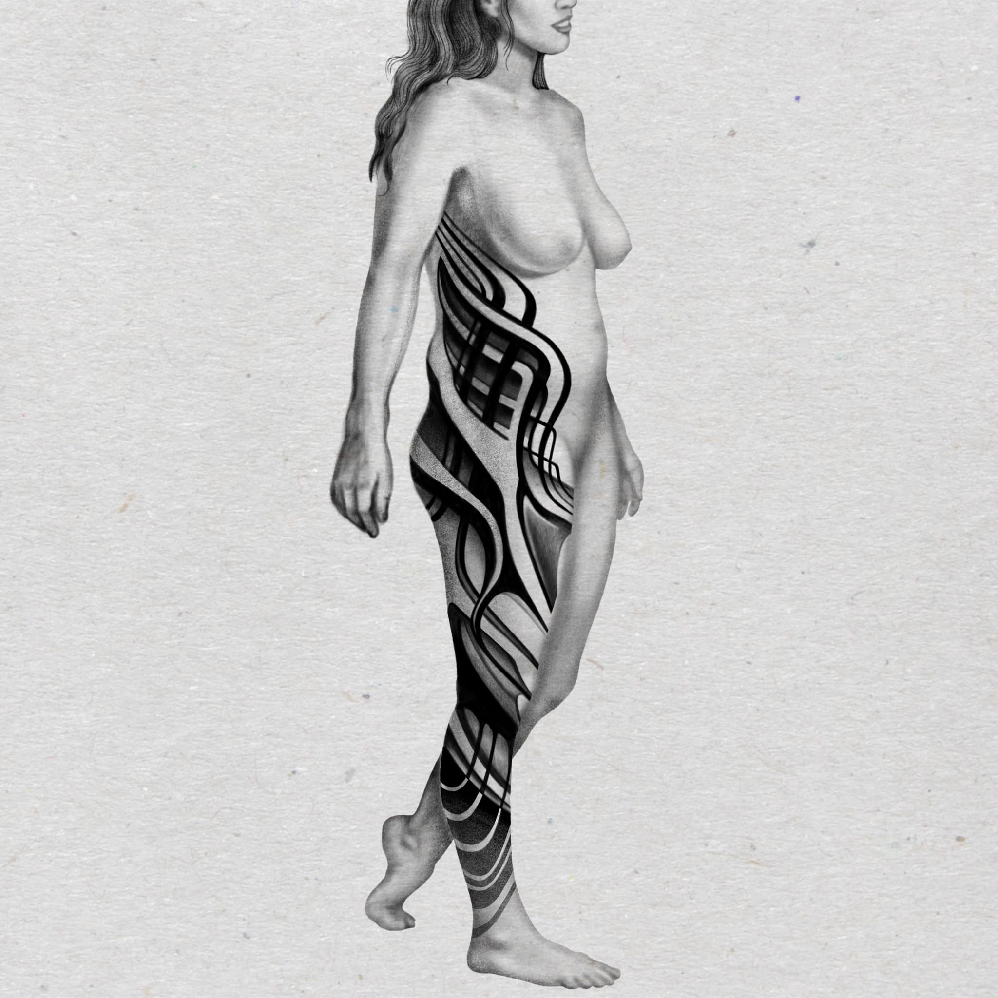Body Composition.jpg
