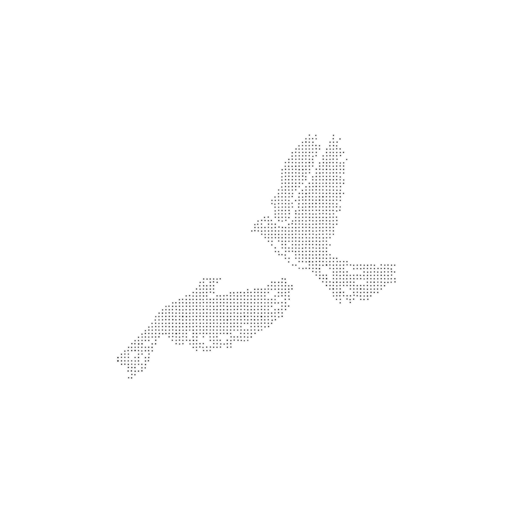 IMG_4877.jpeg