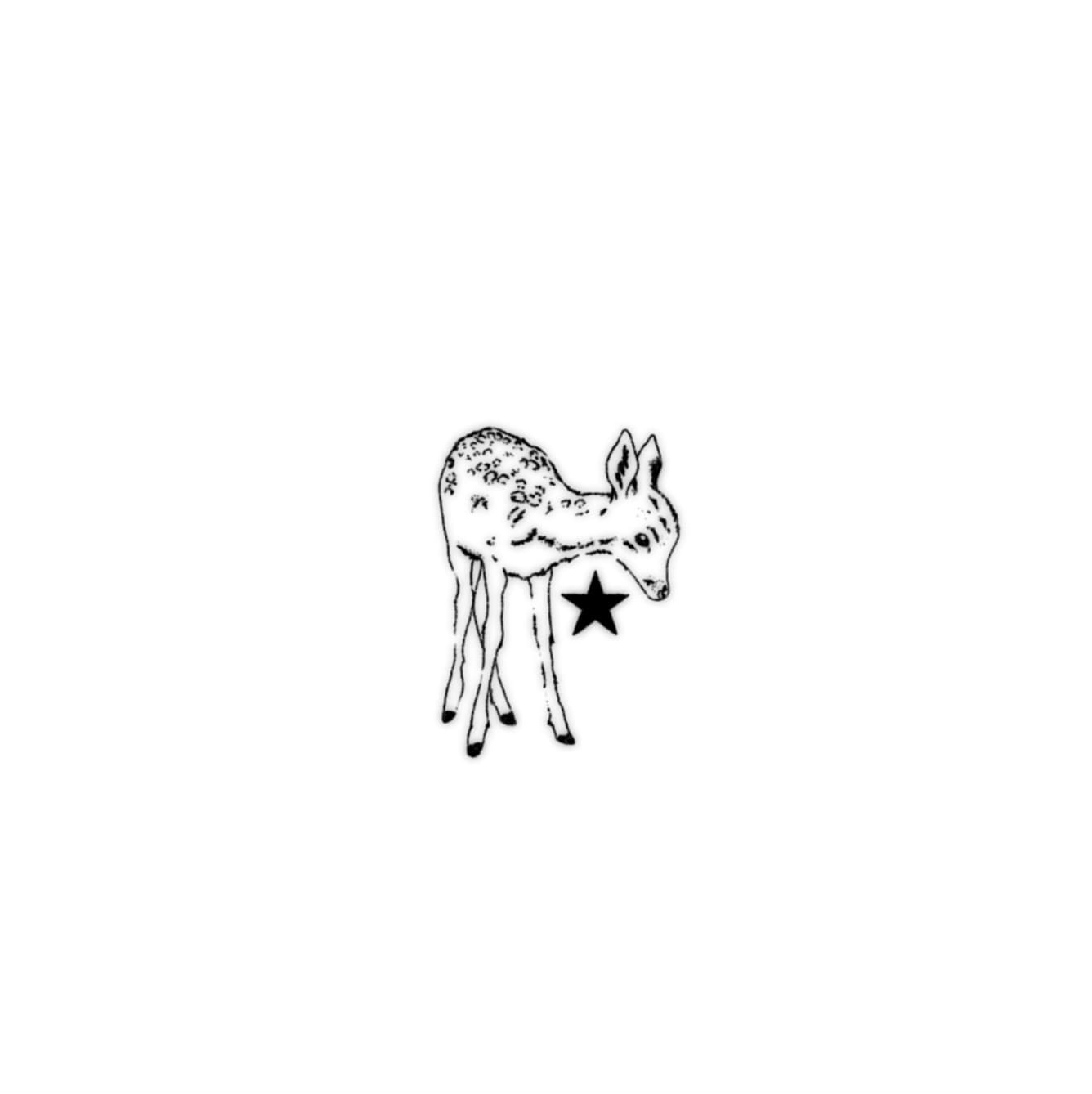 IMG_4941.jpeg