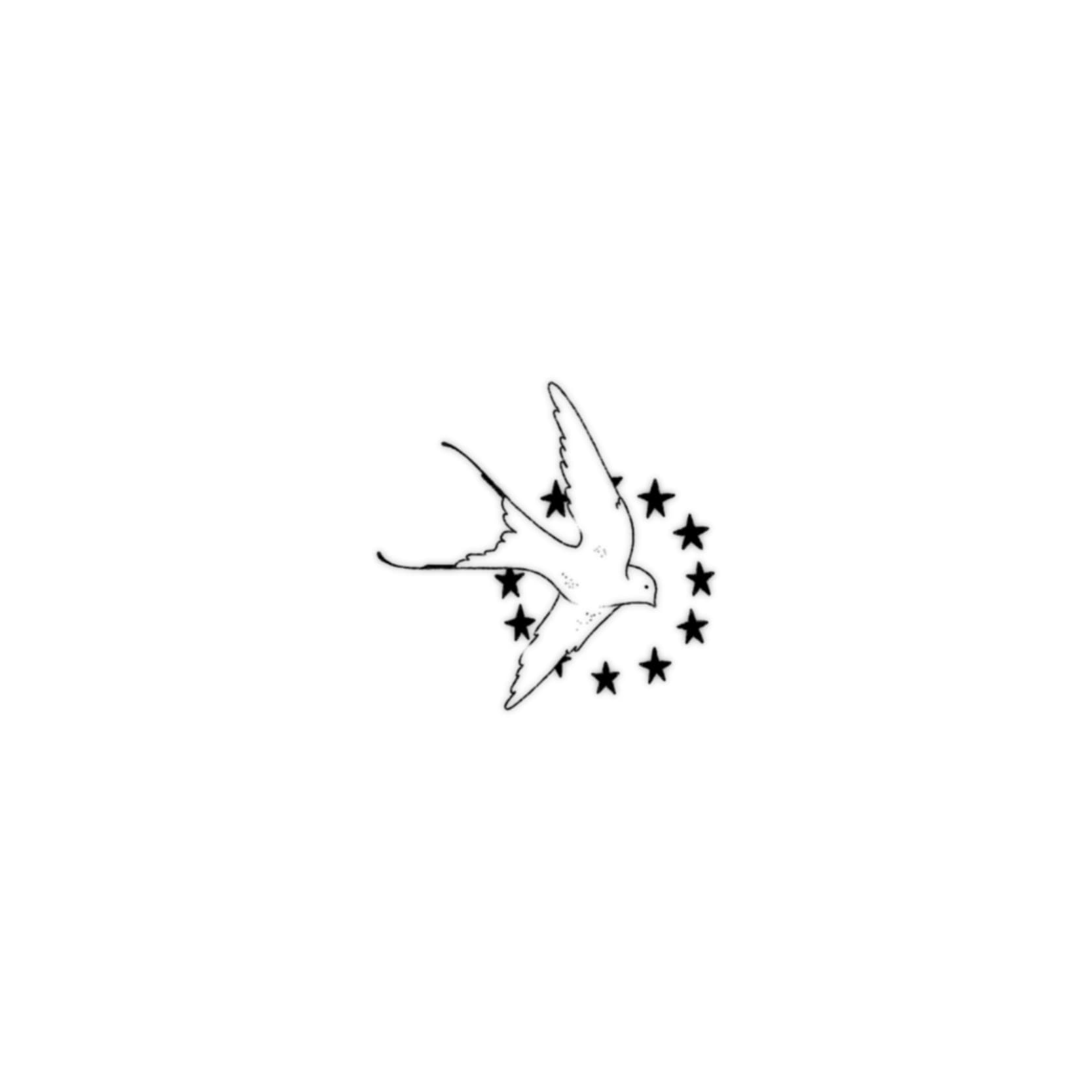 IMG_5092.jpeg