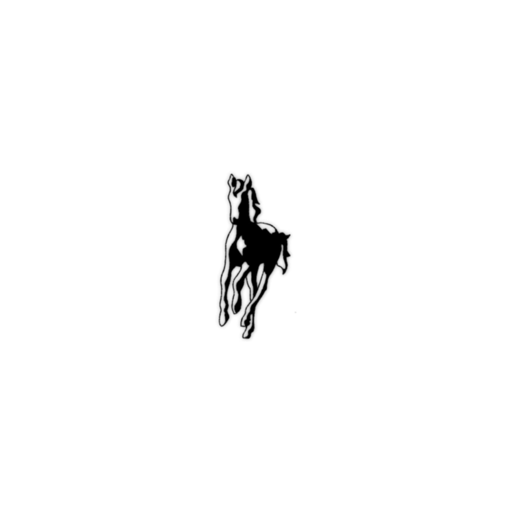 IMG_5095.jpeg