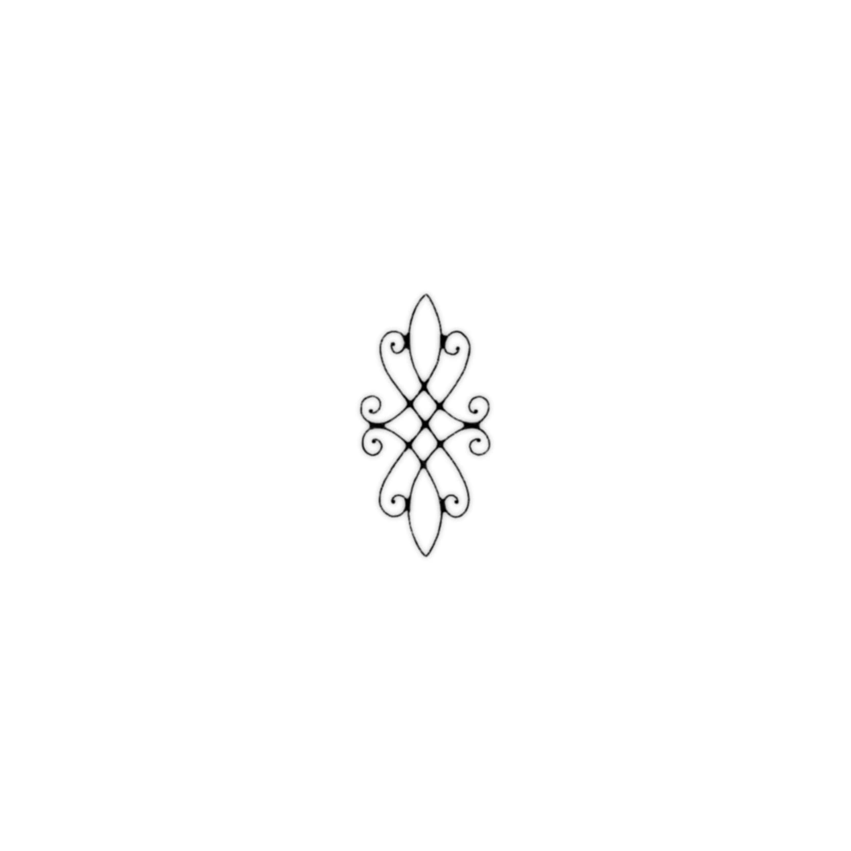 IMG_5101.jpeg