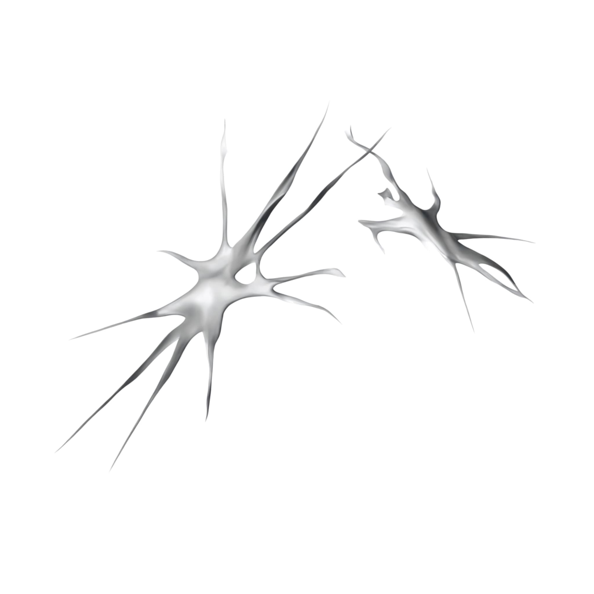 Untitled_Artwork 1.jpeg