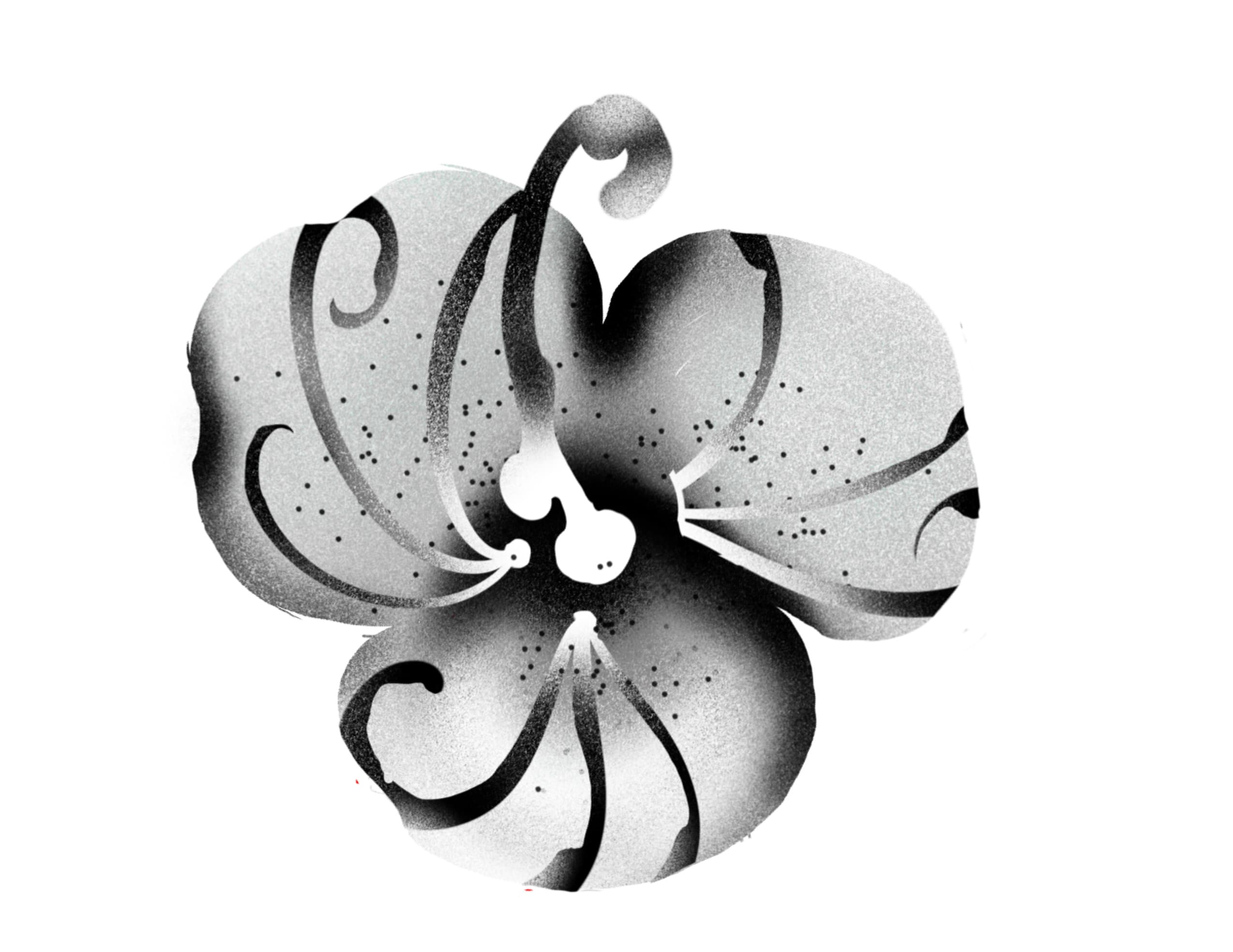 Dream flower for the tropics