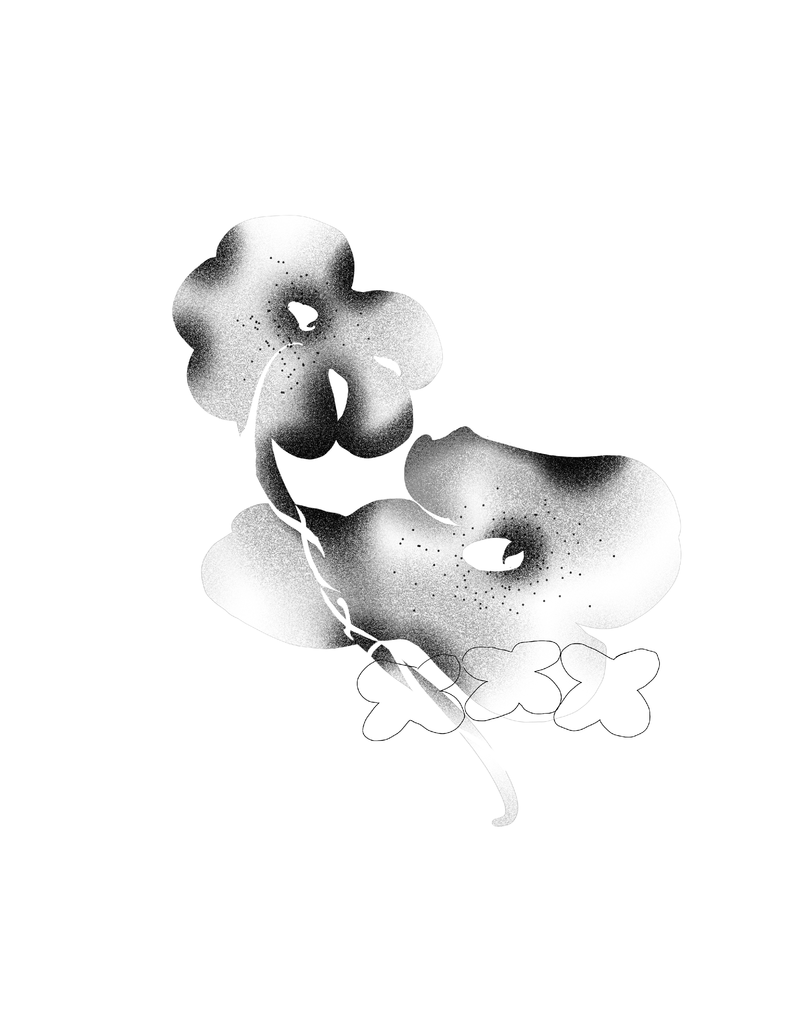 Two flowers having a good time